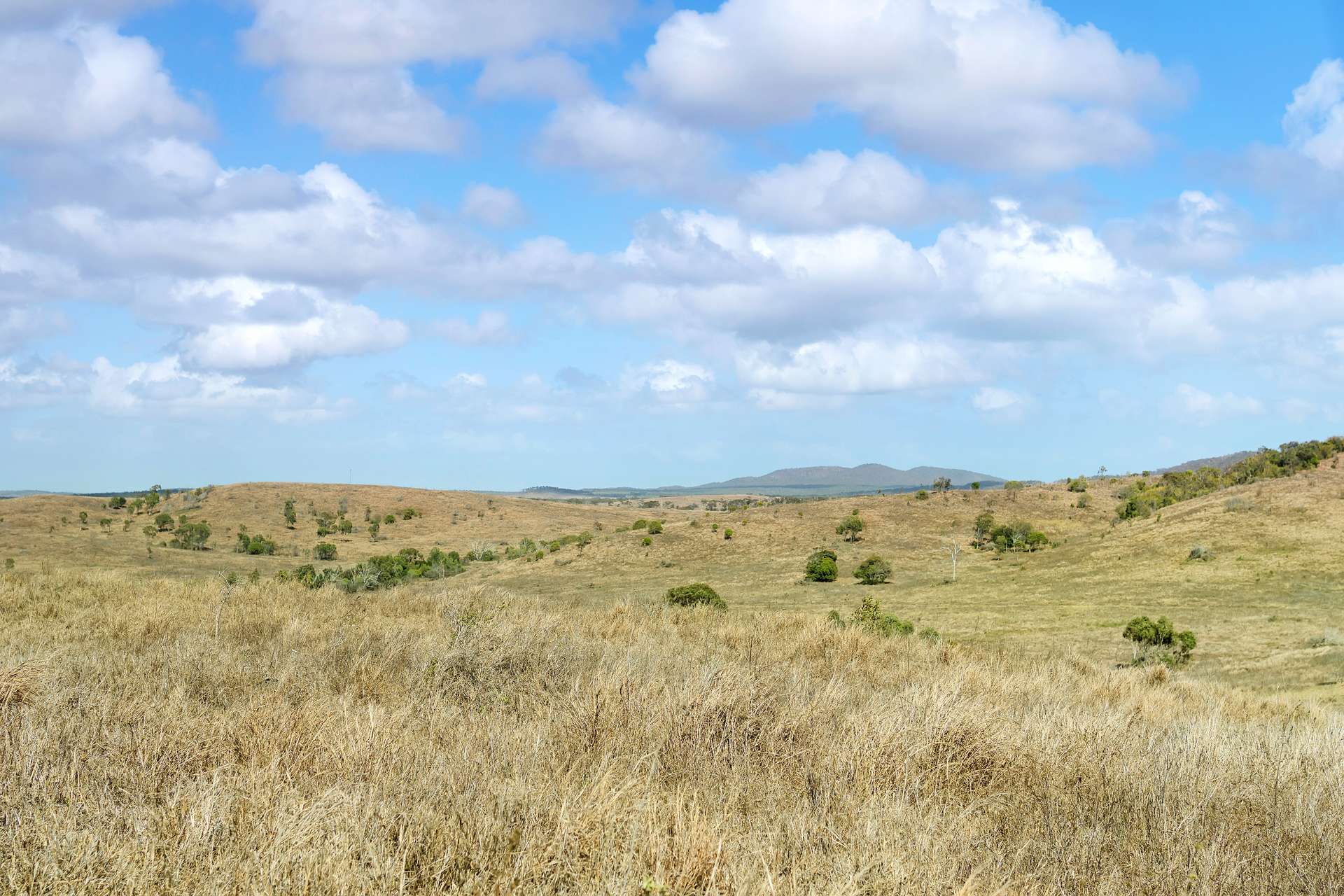 " Langham ", Stanage For Sale by Farmbuy.com - image 3
