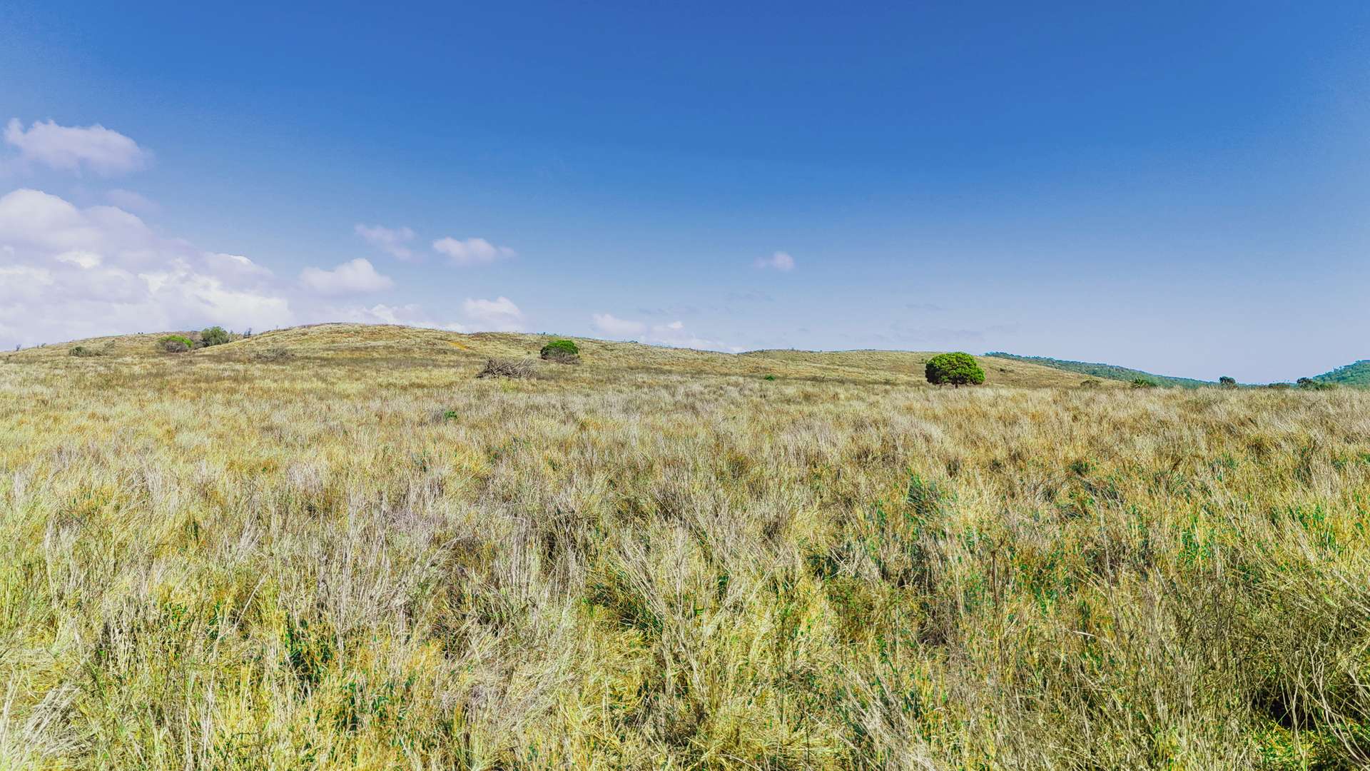 " Langham ", Stanage For Sale by Farmbuy.com - image 2