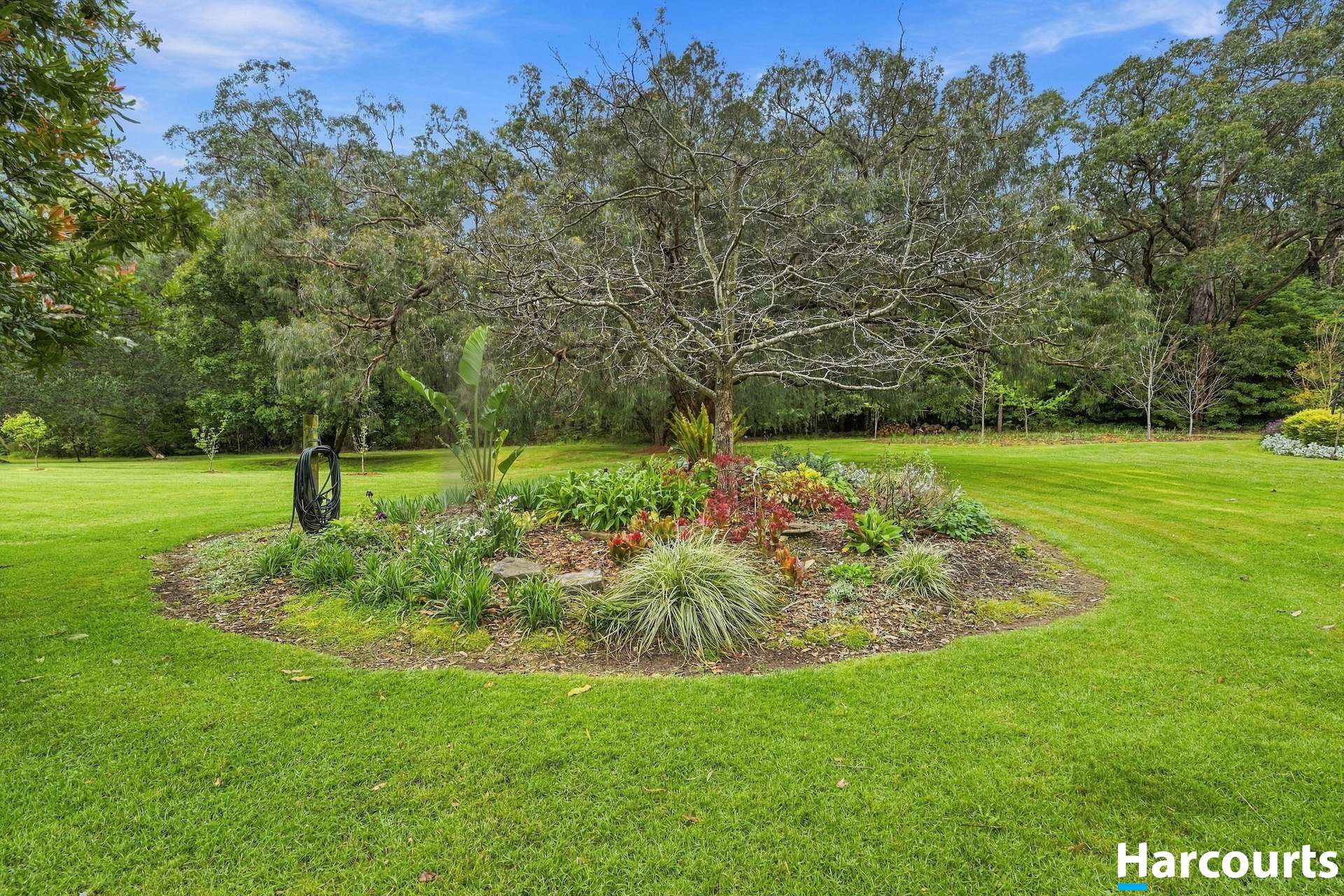 50 Koala Drive, Koonwarra For Sale by Farmbuy.com - image 35
