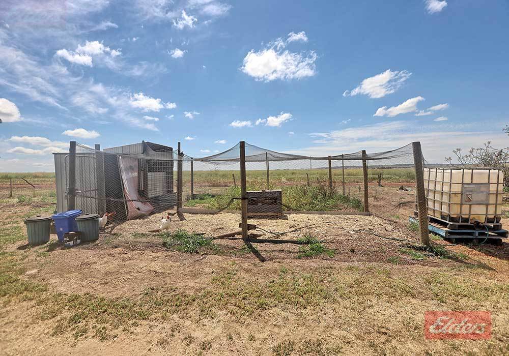 Lot 435 Ware Street, Wagin For Sale by Farmbuy.com - image 31