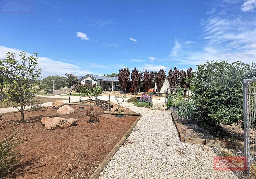Lot 435 Ware Street, Wagin For Sale by Farmbuy.com - image 22
