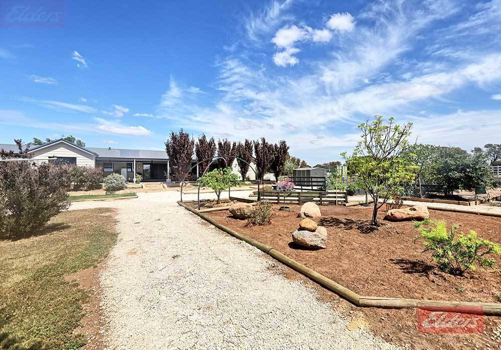 Lot 435 Ware Street, Wagin For Sale by Farmbuy.com - image 23