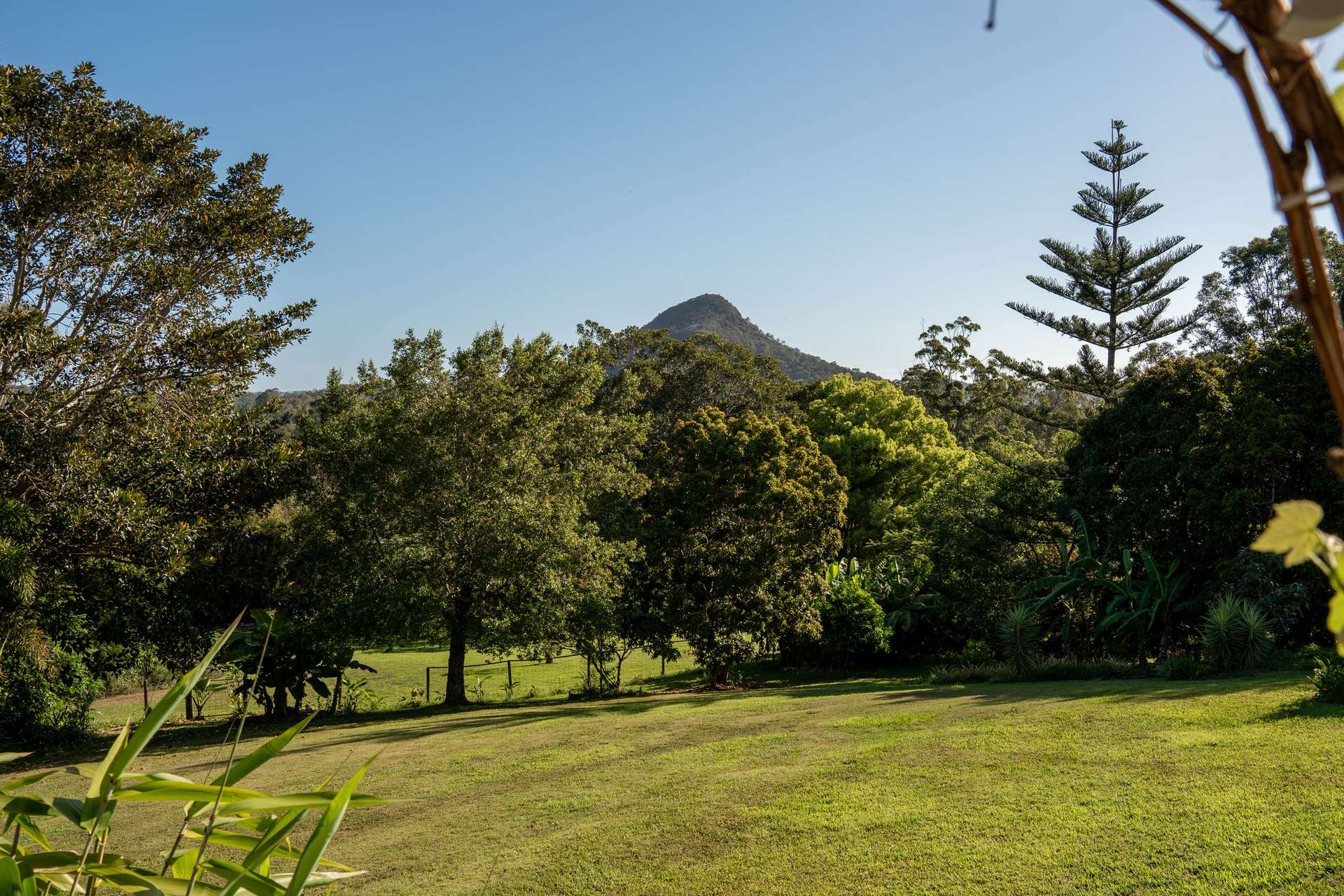 11 Risley Court, Cooran For Sale by Farmbuy.com - image 25