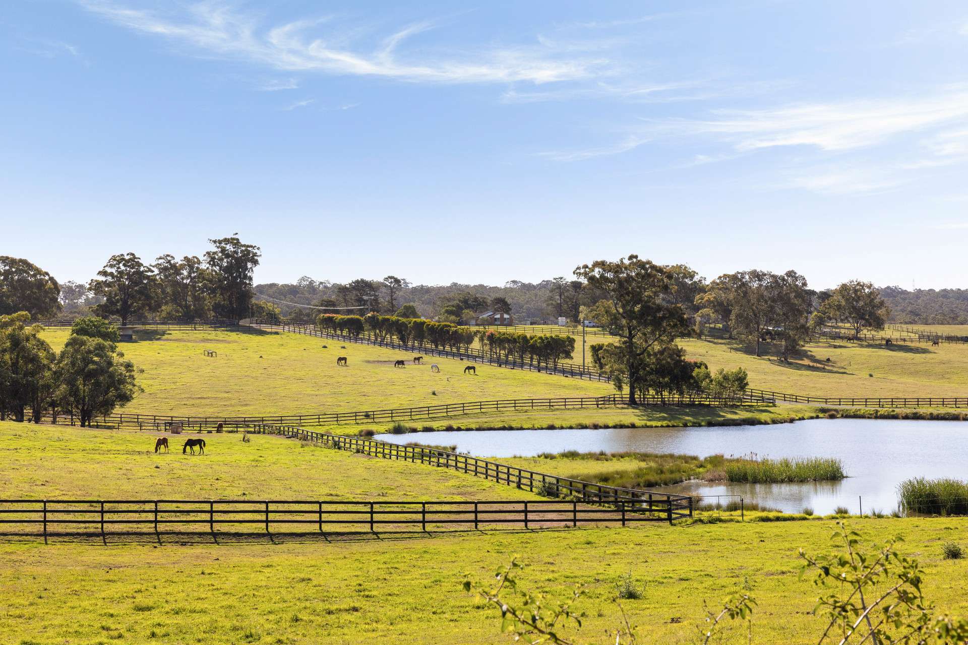 270 Rapleys Loop Road, Werombi Auction by Farmbuy.com - image 8