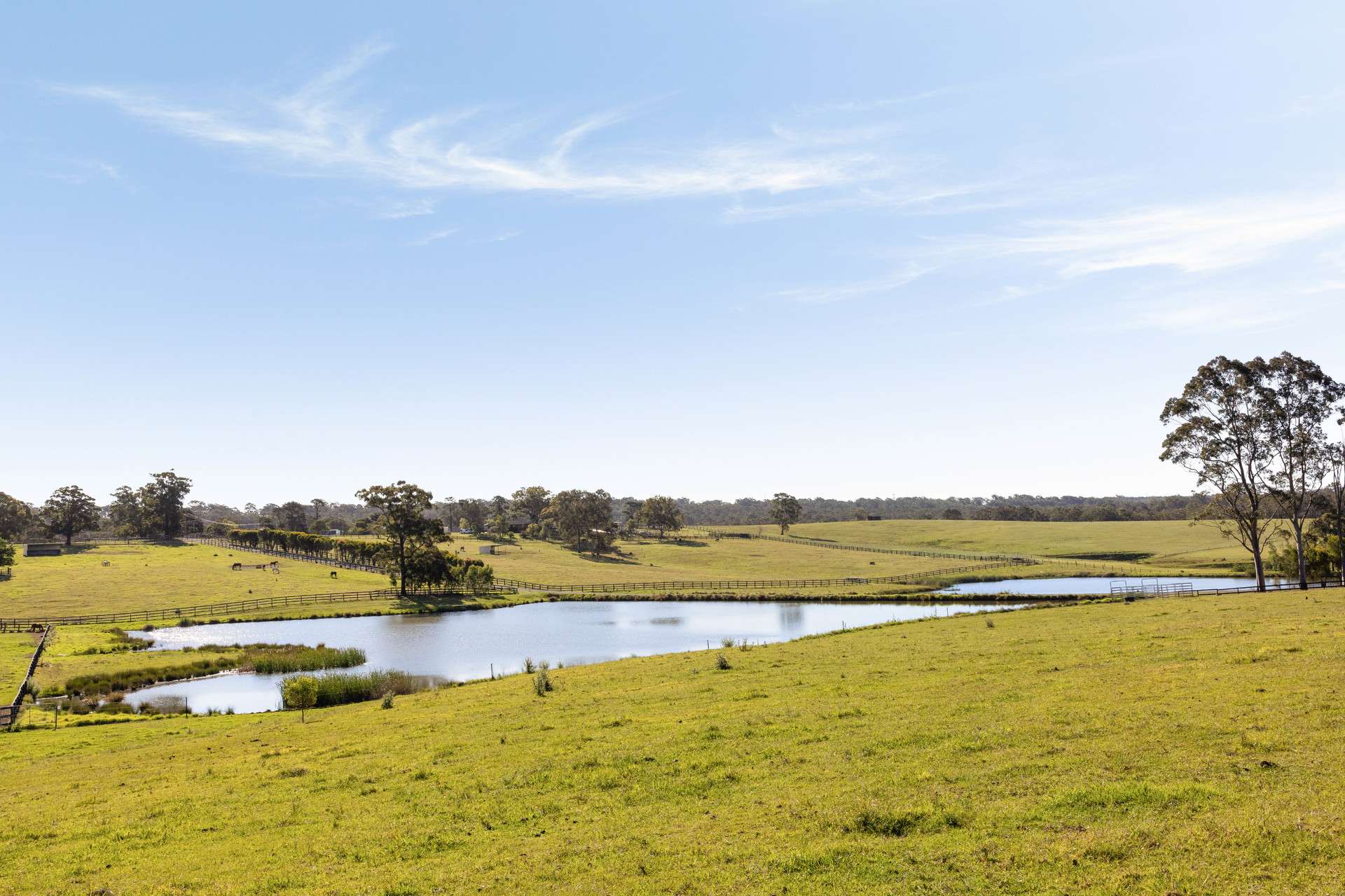 270 Rapleys Loop Road, Werombi Auction by Farmbuy.com - image 4