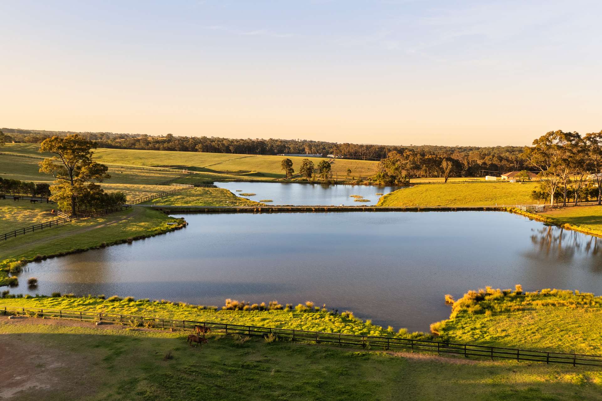 270 Rapleys Loop Road, Werombi Auction by Farmbuy.com - image 6