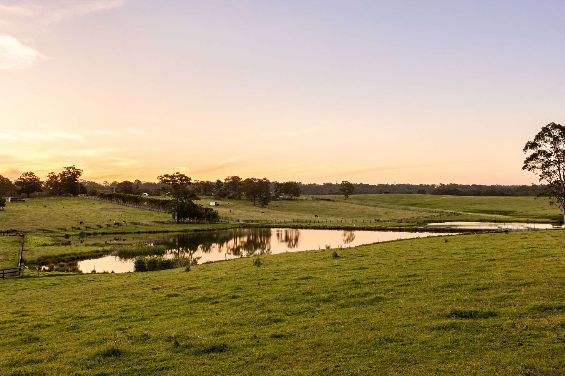 270 Rapleys Loop Road, Werombi Auction by Farmbuy.com - image 26