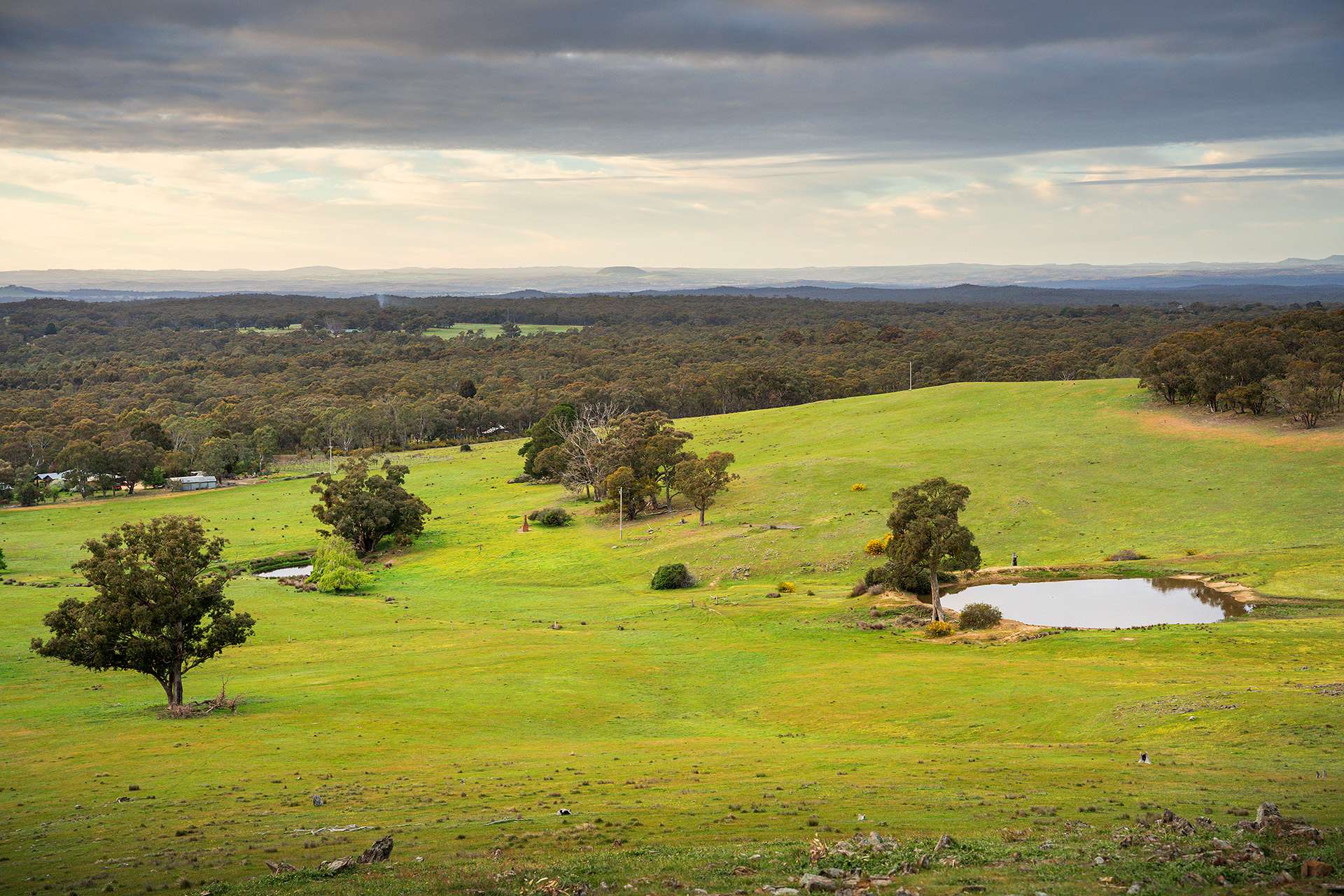 223 Nuggetty Road, Maldon For Sale by Farmbuy.com - image 6