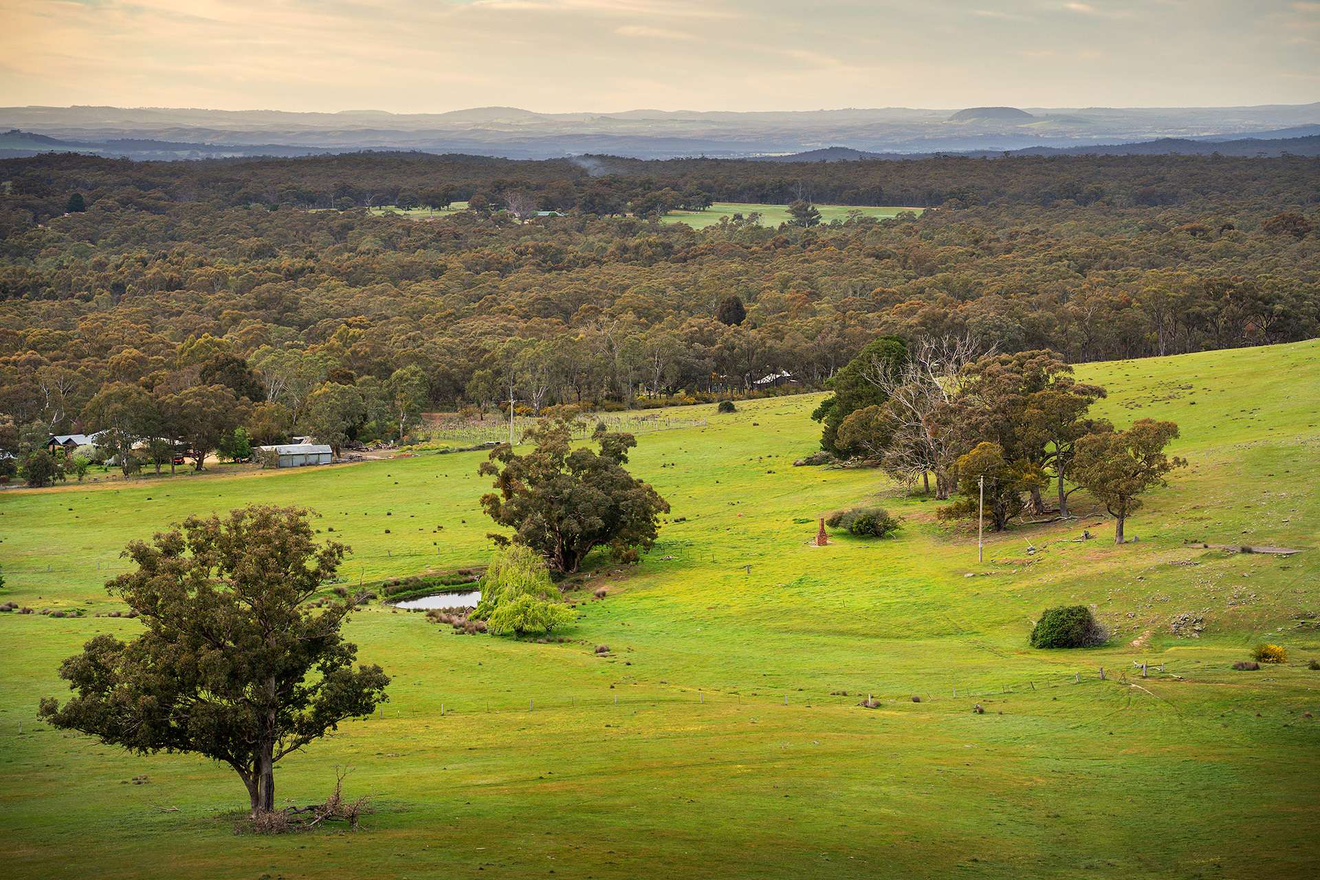 223 Nuggetty Road, Maldon For Sale by Farmbuy.com - image 7