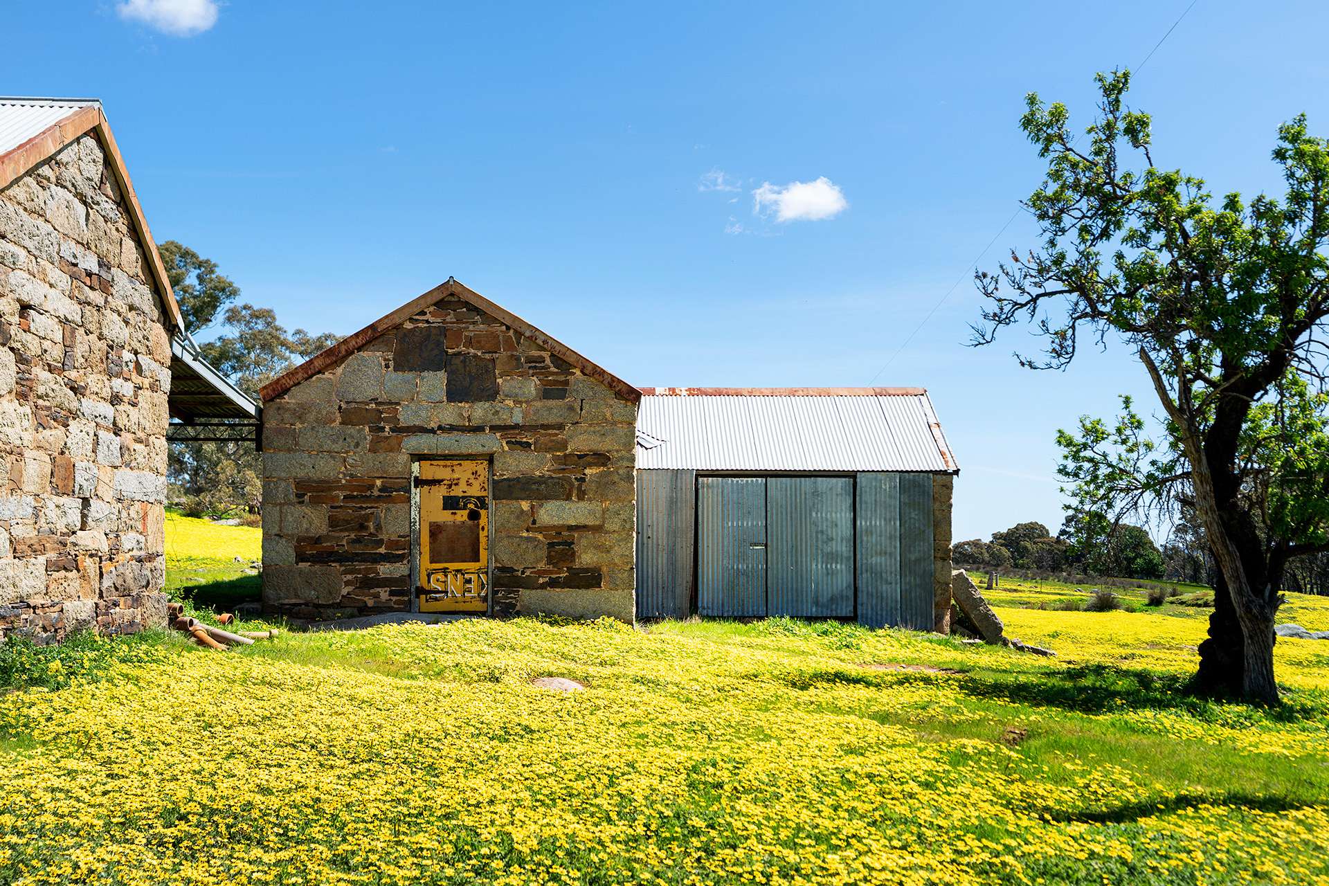 223 Nuggetty Road, Maldon For Sale by Farmbuy.com - image 13