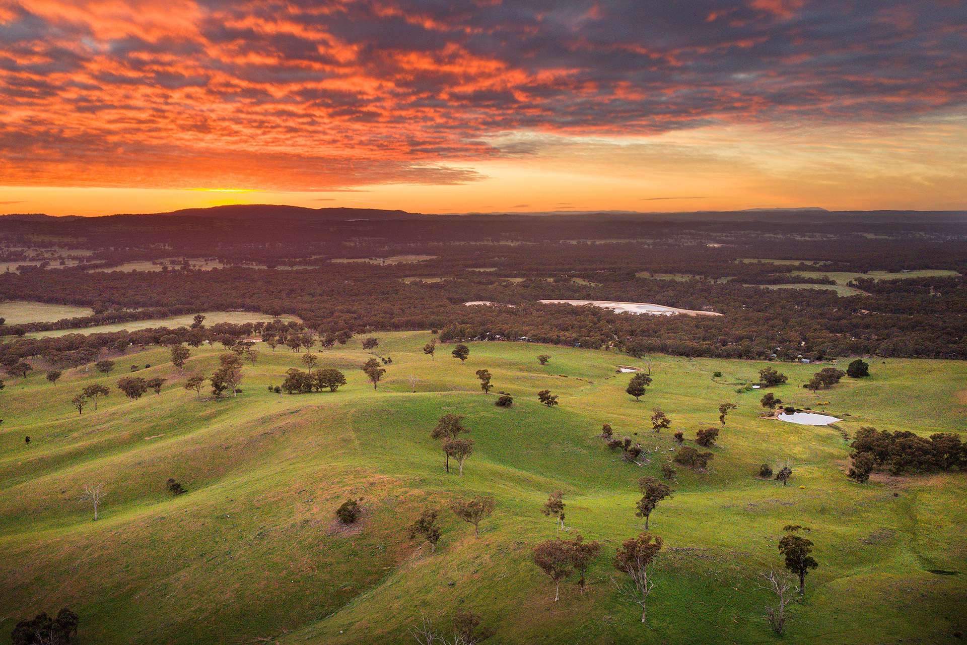 223 Nuggetty Road, Maldon For Sale by Farmbuy.com - image 3