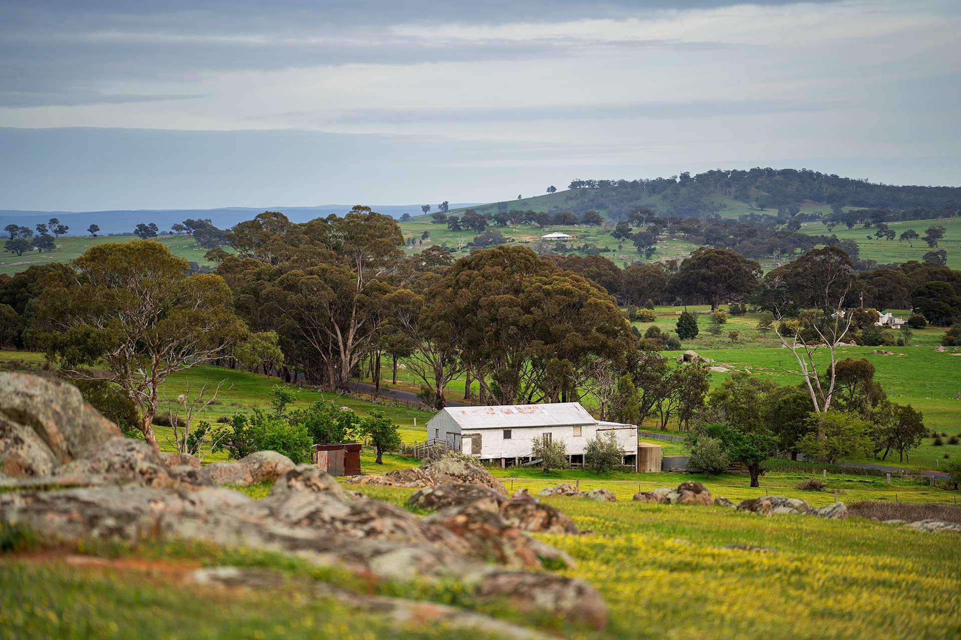 223 Nuggetty Road, Maldon For Sale by Farmbuy.com - image 18