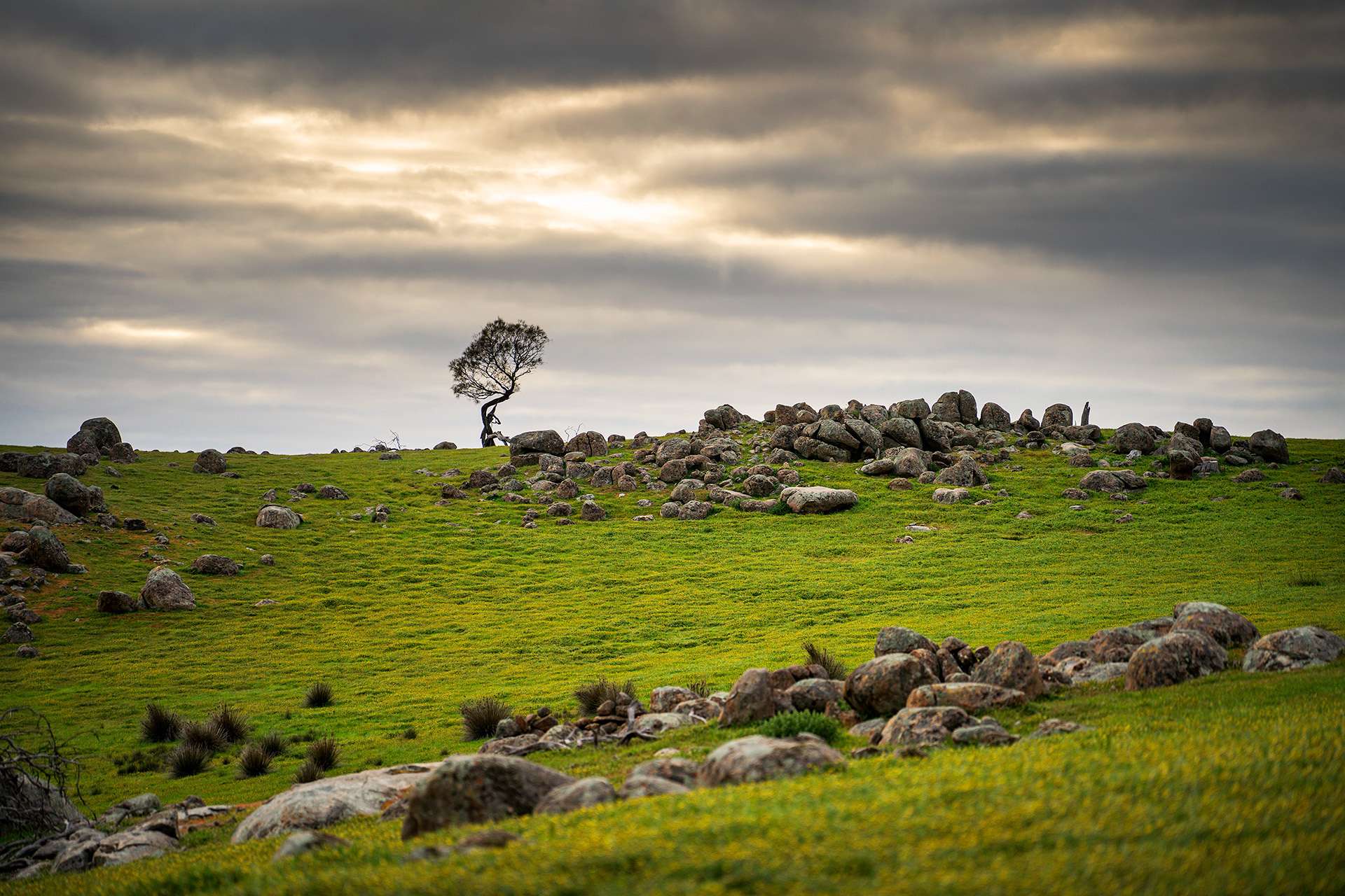 223 Nuggetty Road, Maldon For Sale by Farmbuy.com - image 9