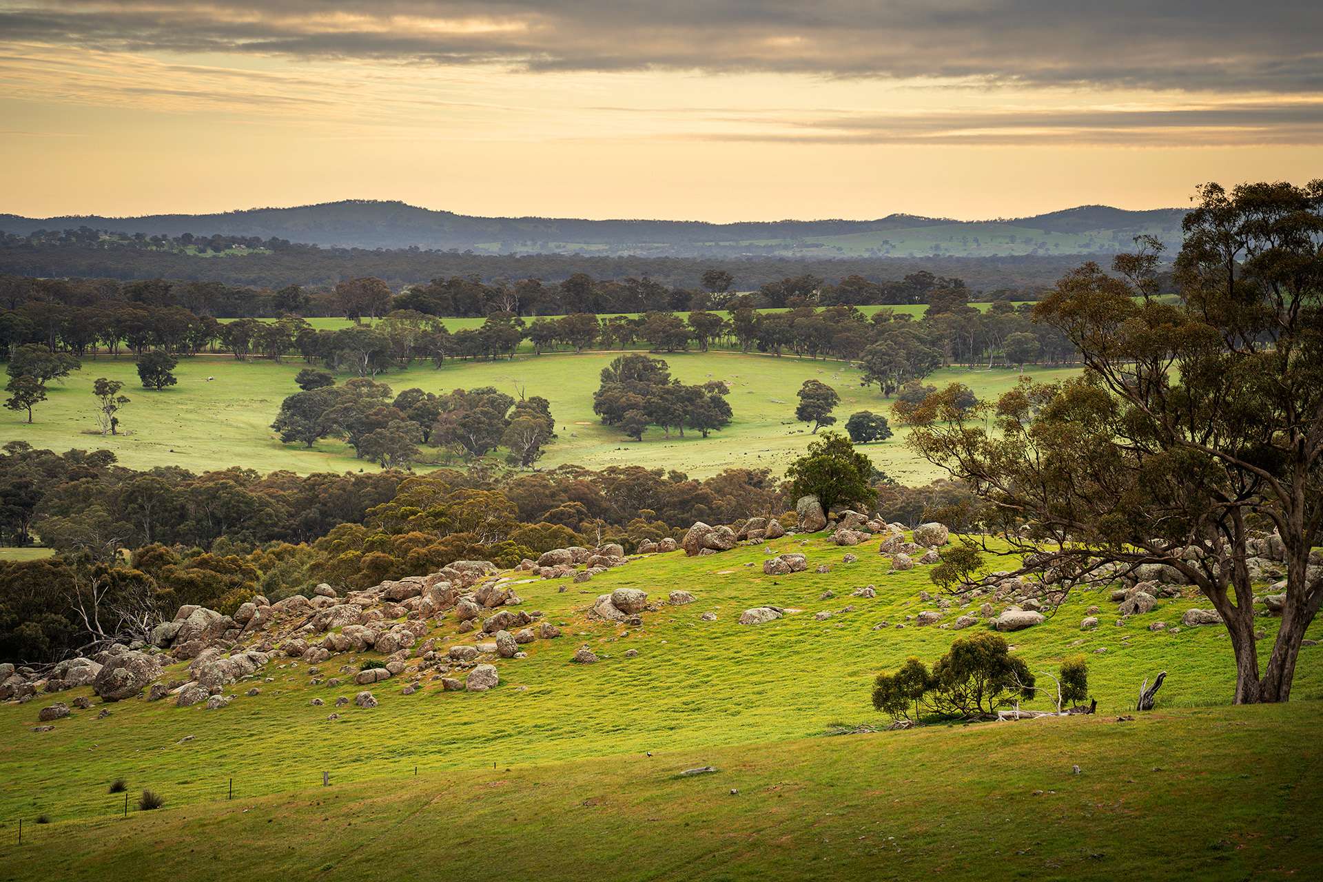 223 Nuggetty Road, Maldon For Sale by Farmbuy.com - image 8