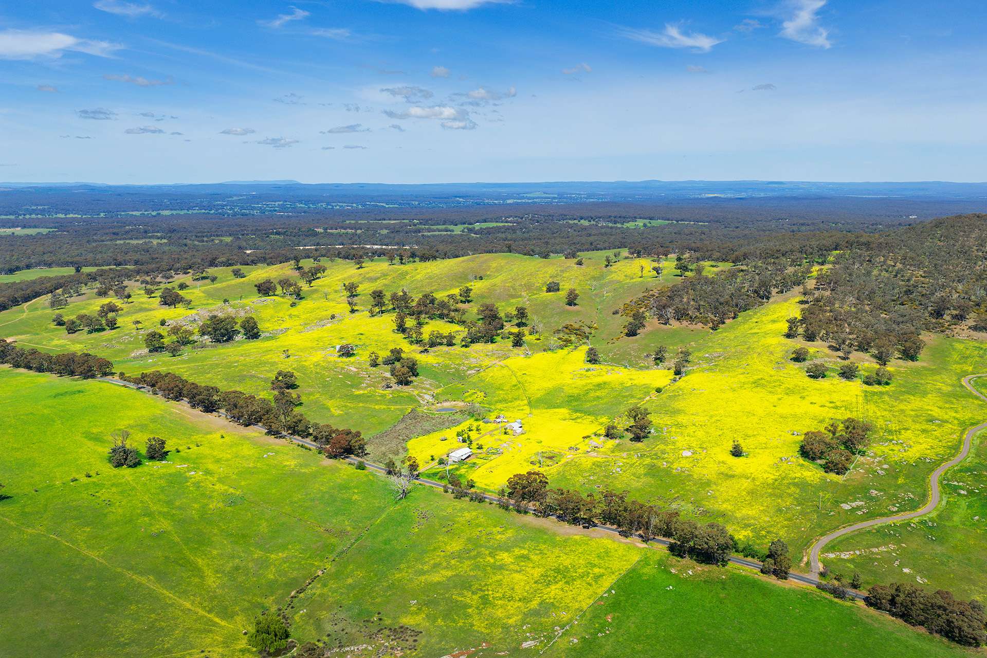 223 Nuggetty Road, Maldon For Sale by Farmbuy.com - image 22