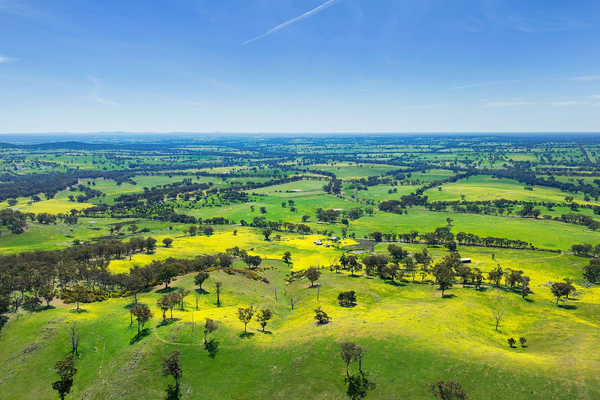 223 Nuggetty Road, Maldon For Sale by Farmbuy.com - image 21