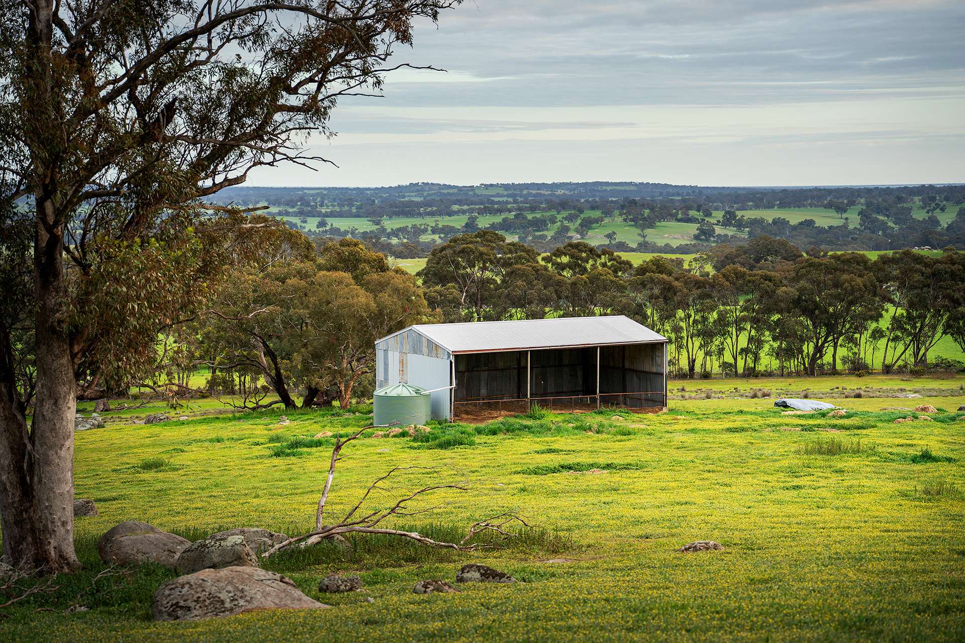 223 Nuggetty Road, Maldon For Sale by Farmbuy.com - image 19