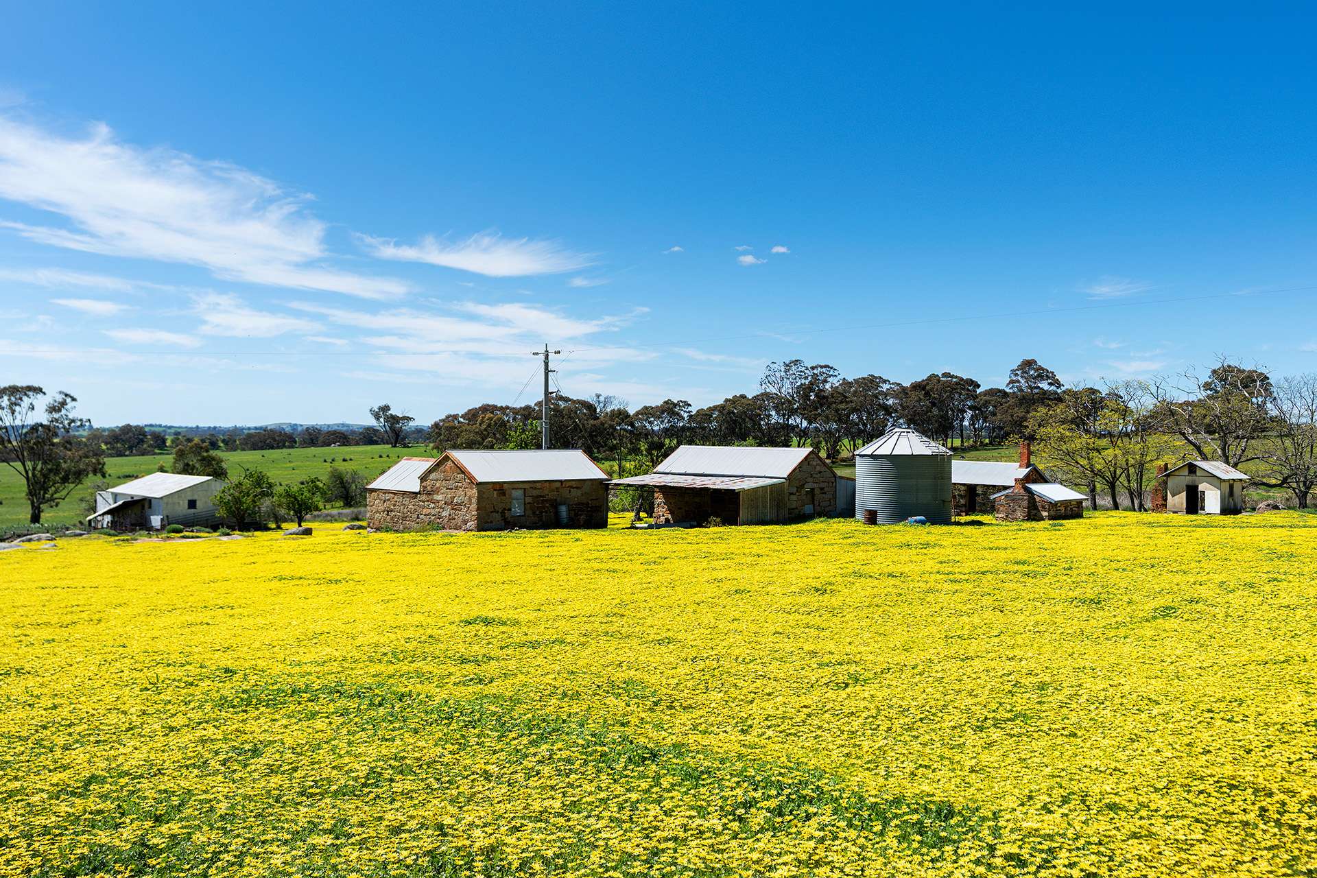 223 Nuggetty Road, Maldon For Sale by Farmbuy.com - image 14