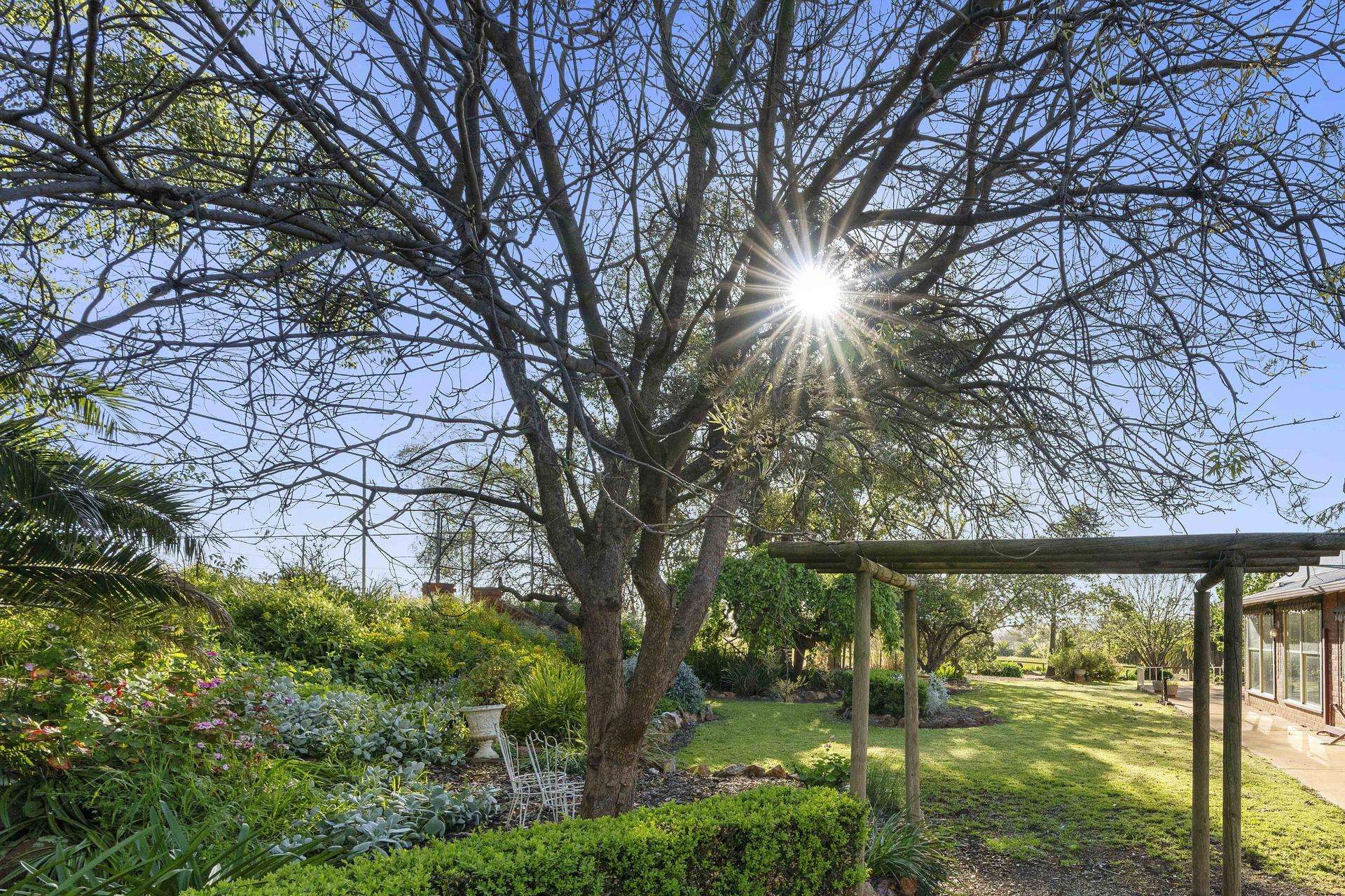 441 Bulloc Hill Road, Mangoplah Auction by Farmbuy.com - image 6