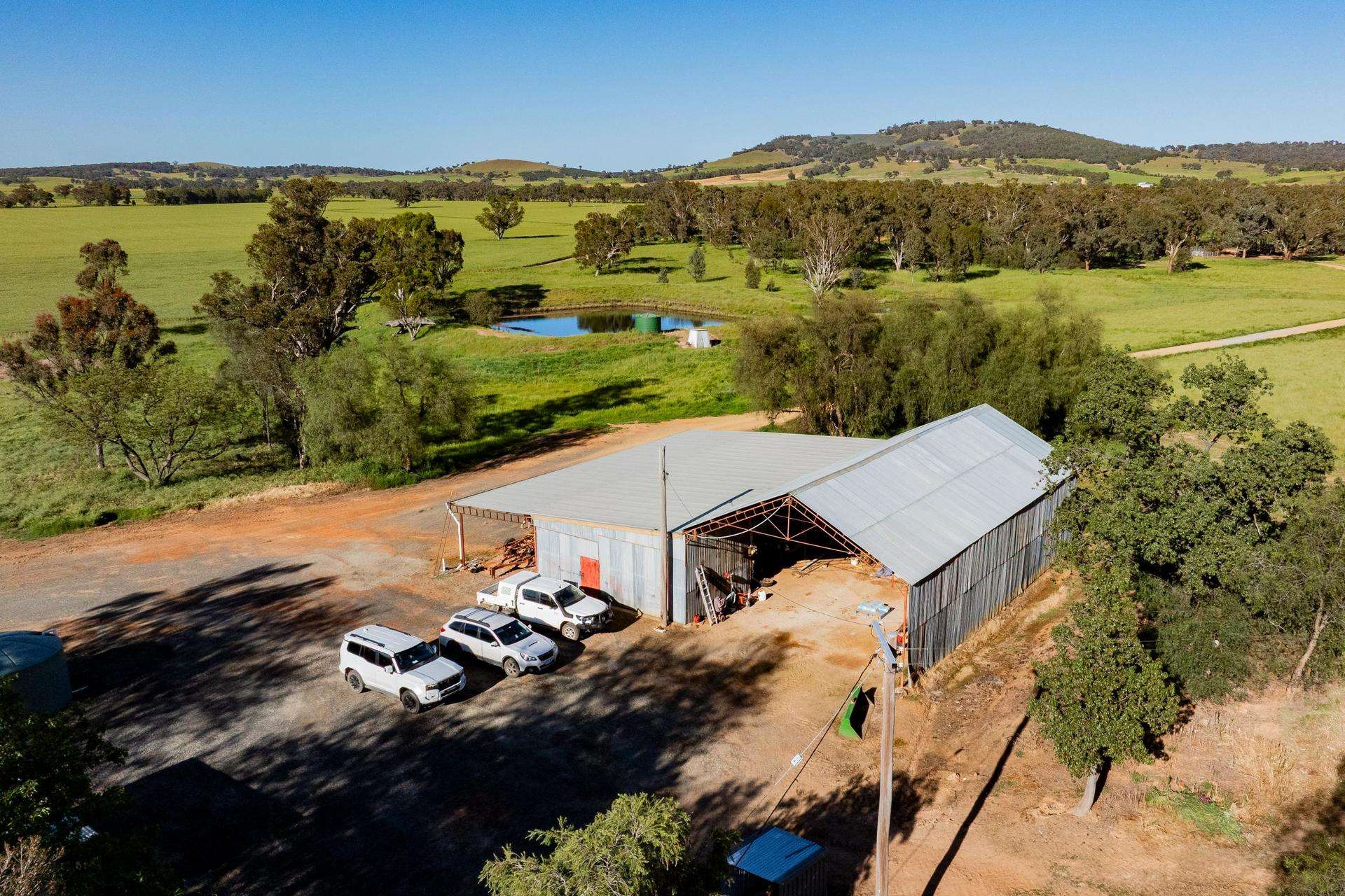 441 Bulloc Hill Road, Mangoplah Auction by Farmbuy.com - image 12