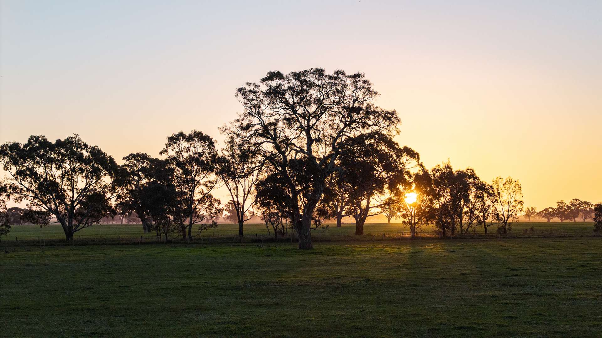 Lot 1 Burgess Lane, Naracoorte For Sale by Farmbuy.com - image 18