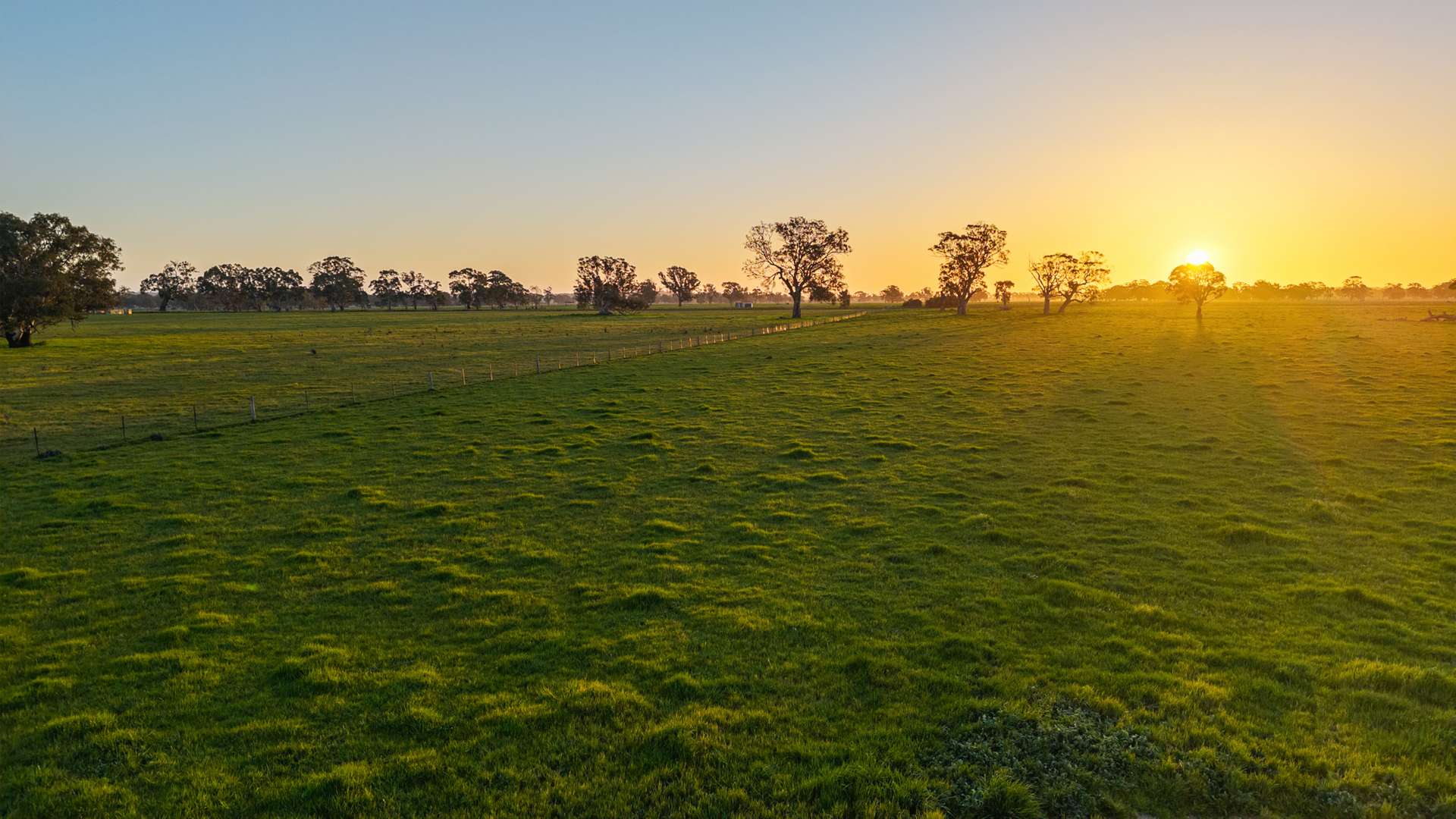 Lot 1 Burgess Lane, Naracoorte For Sale by Farmbuy.com - image 17