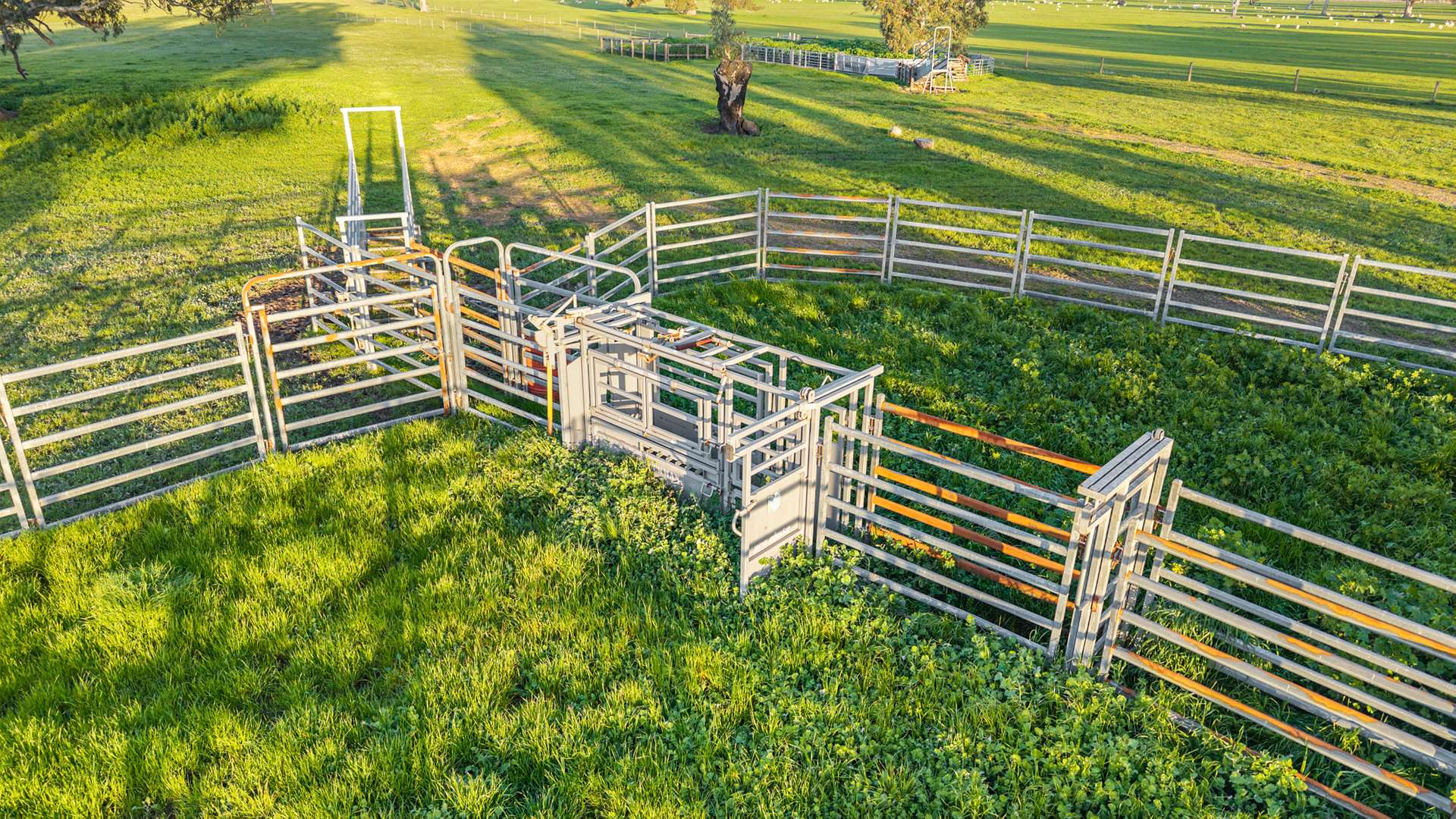 Lot 1 Burgess Lane, Naracoorte For Sale by Farmbuy.com - image 11