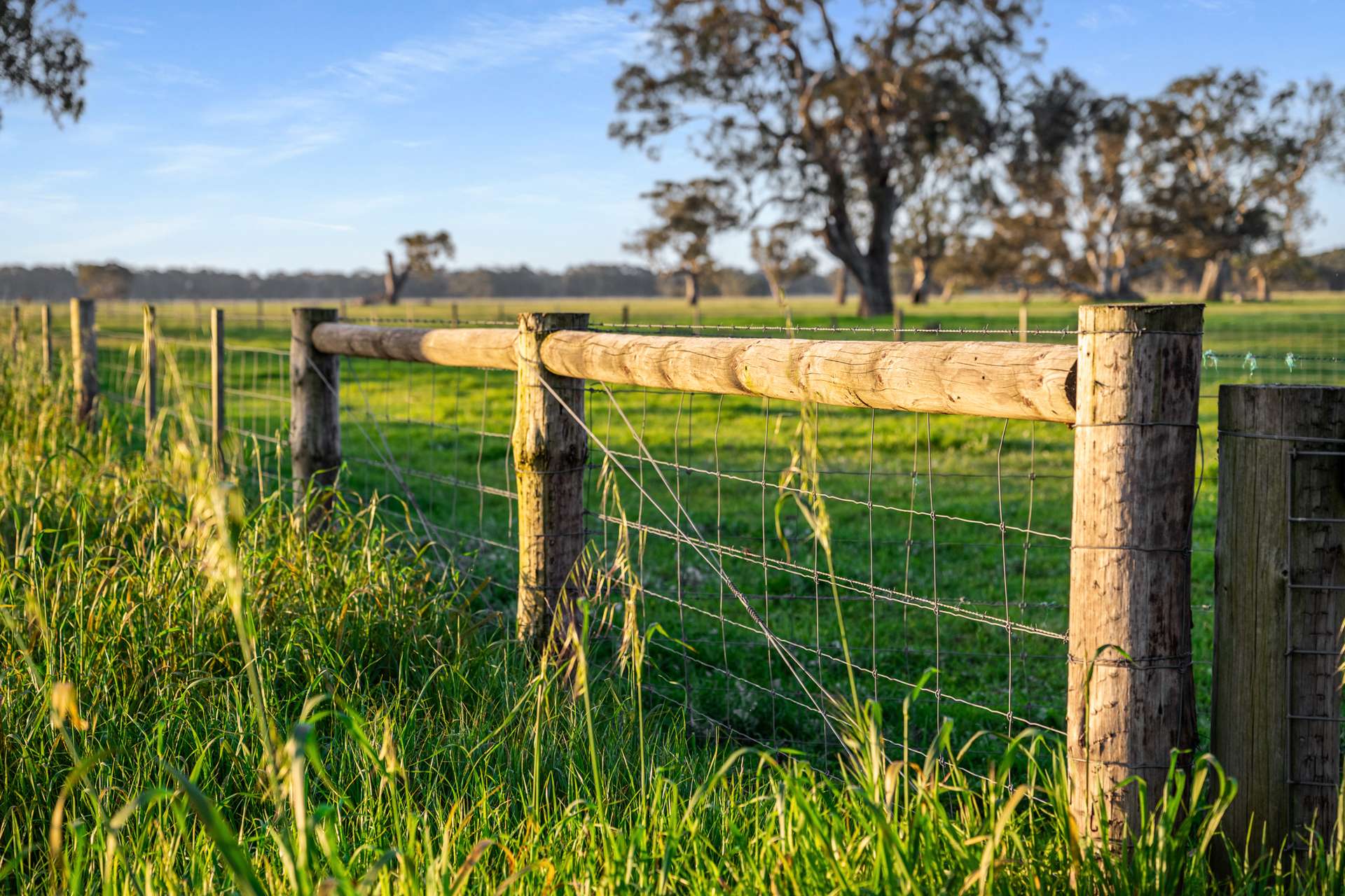 Lot 1 Burgess Lane, Naracoorte For Sale by Farmbuy.com - image 14
