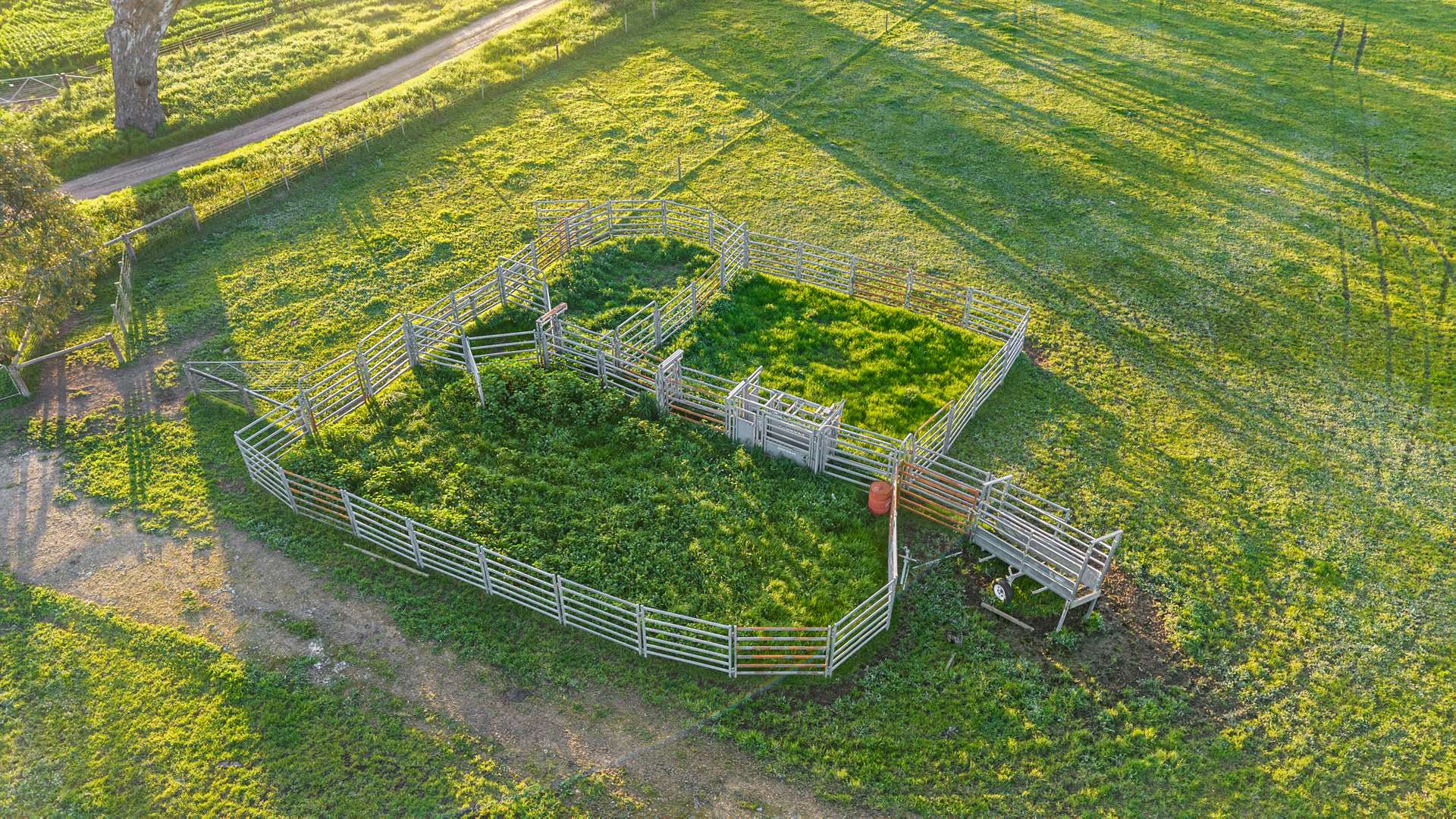 Lot 1 Burgess Lane, Naracoorte For Sale by Farmbuy.com - image 10