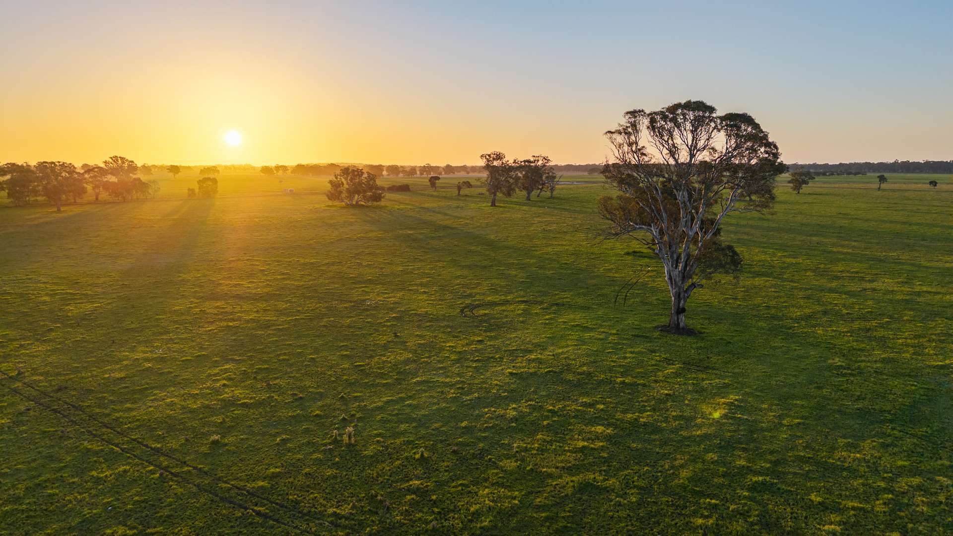 Lot 1 Burgess Lane, Naracoorte For Sale by Farmbuy.com - image 2