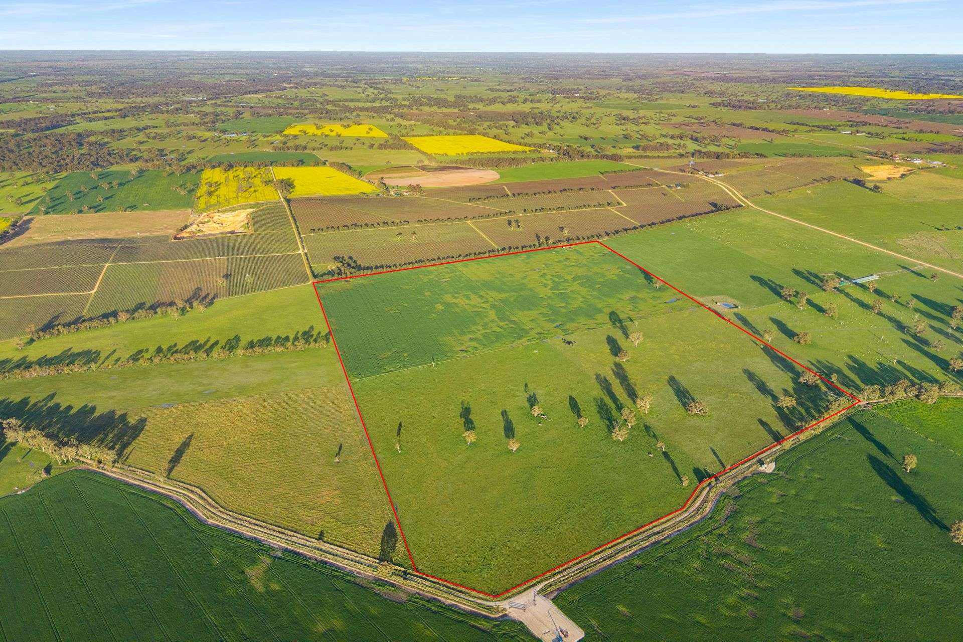 Lot 1 Burgess Lane, Naracoorte For Sale by Farmbuy.com - image 22
