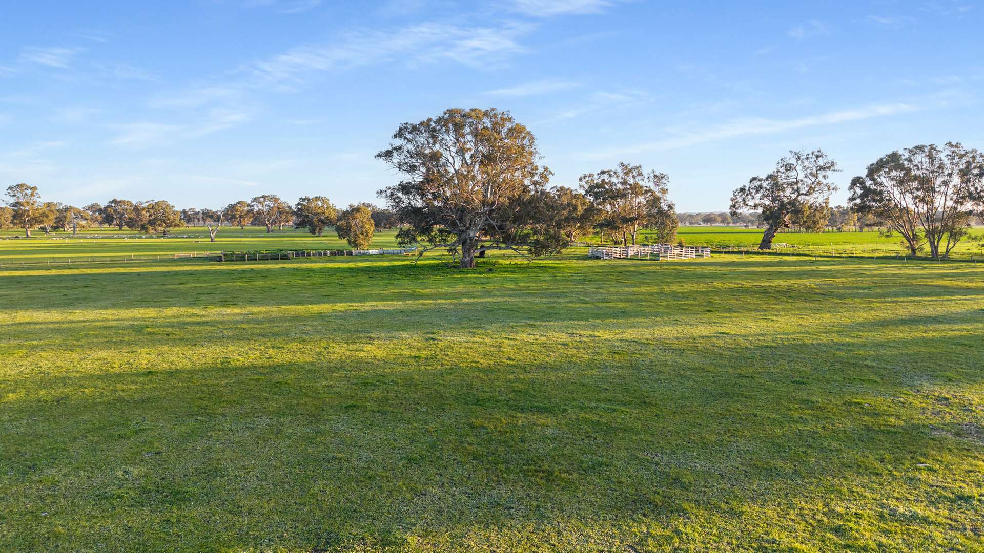 Lot 1 Burgess Lane, Naracoorte For Sale by Farmbuy.com - image 20