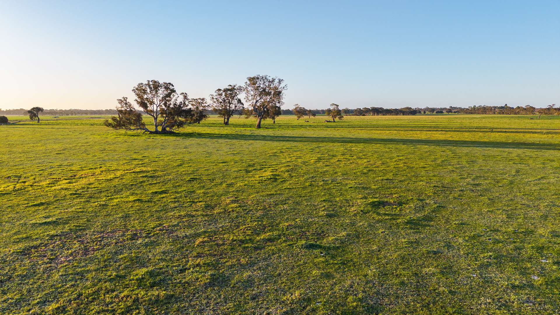 Lot 1 Burgess Lane, Naracoorte For Sale by Farmbuy.com - image 21