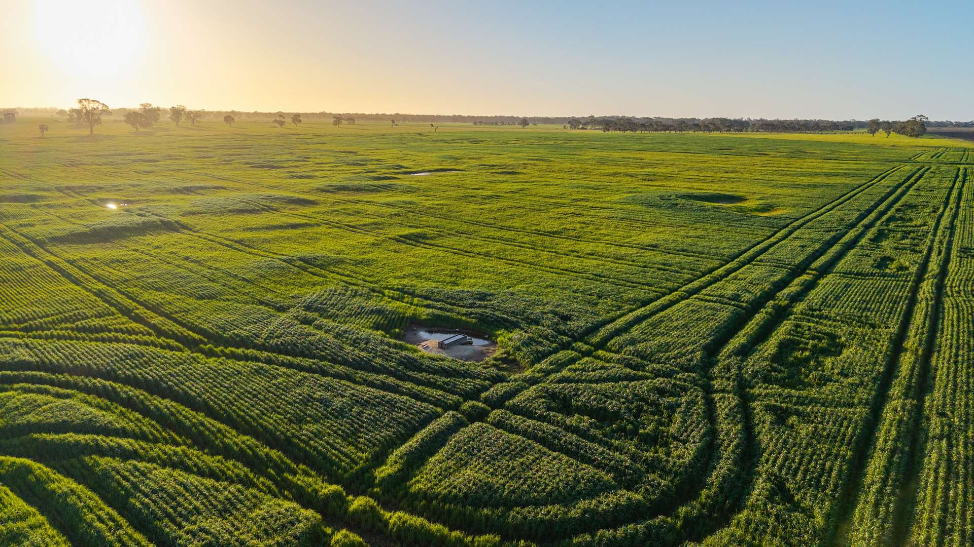 Lot 1 Burgess Lane, Naracoorte For Sale by Farmbuy.com - image 4