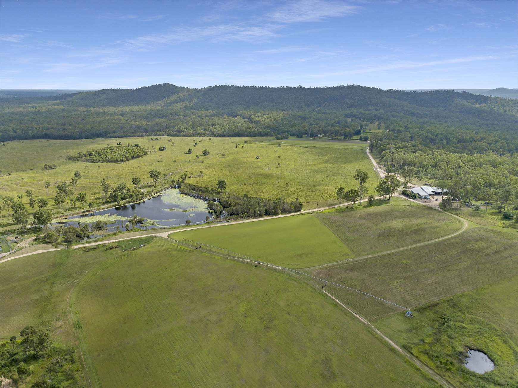 930 Berries Road, Golden Fleece For Sale by Farmbuy.com - image 5