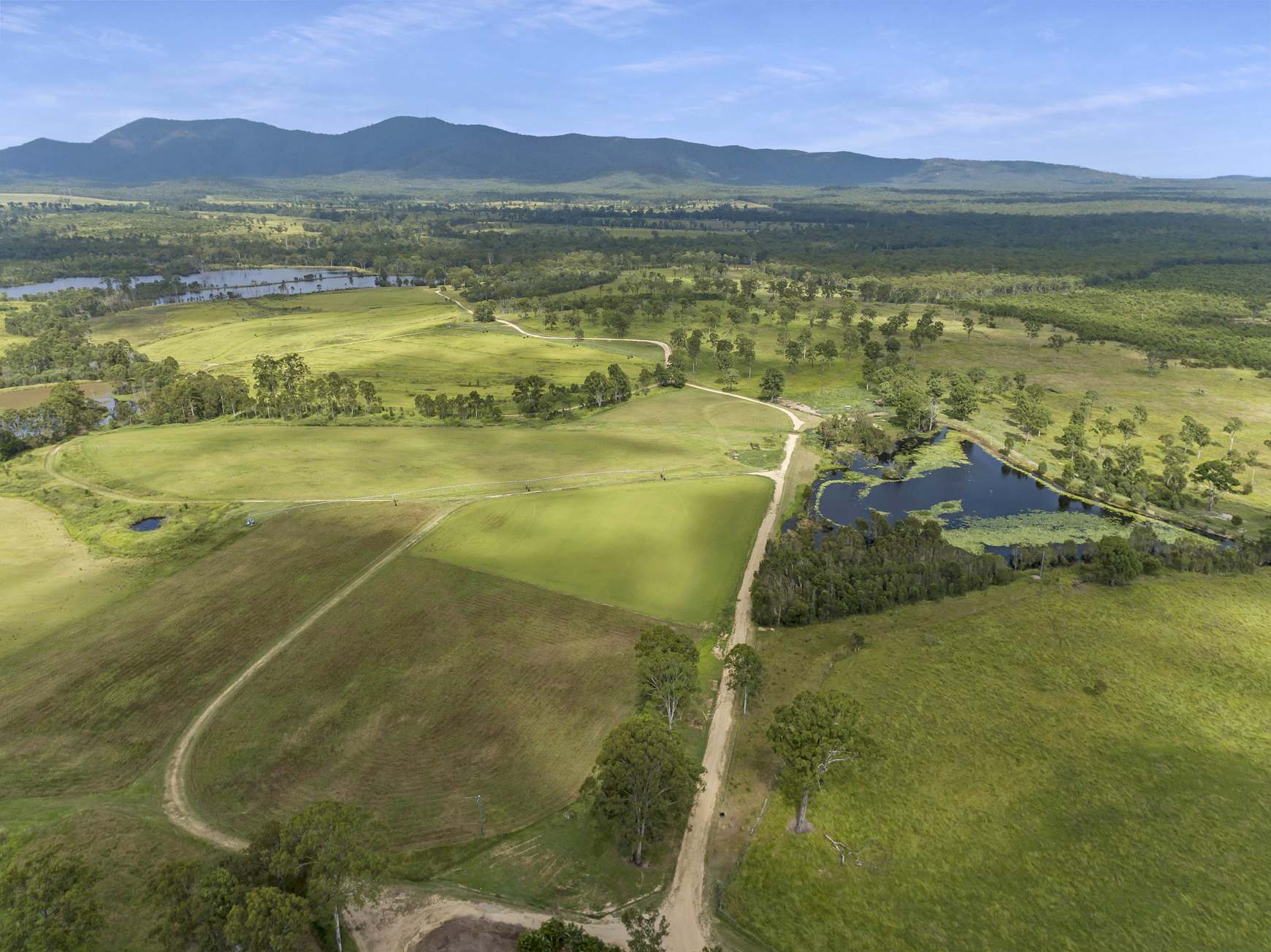 930 Berries Road, Golden Fleece For Sale by Farmbuy.com - image 3