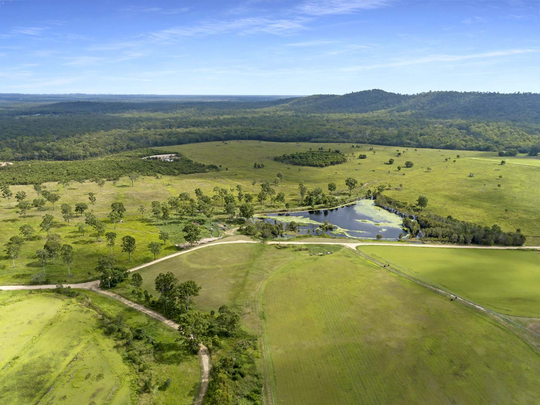 930 Berries Road, Golden Fleece For Sale by Farmbuy.com - image 10