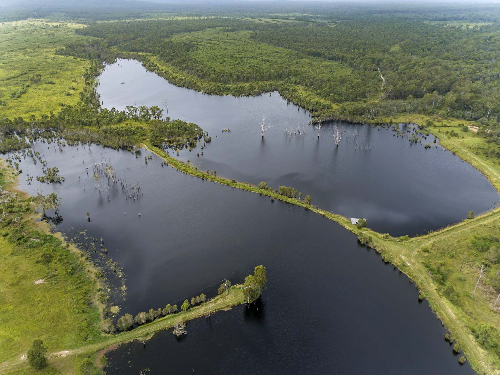 930 Berries Road, Golden Fleece For Sale by Farmbuy.com - image 2