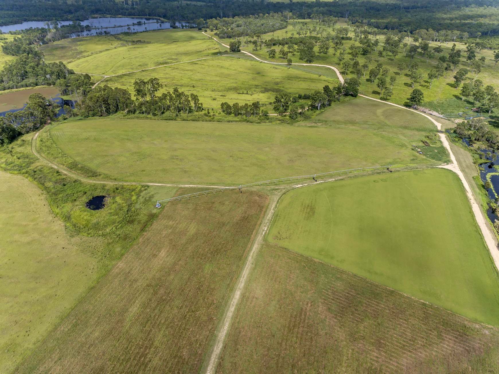930 Berries Road, Golden Fleece For Sale by Farmbuy.com - image 6