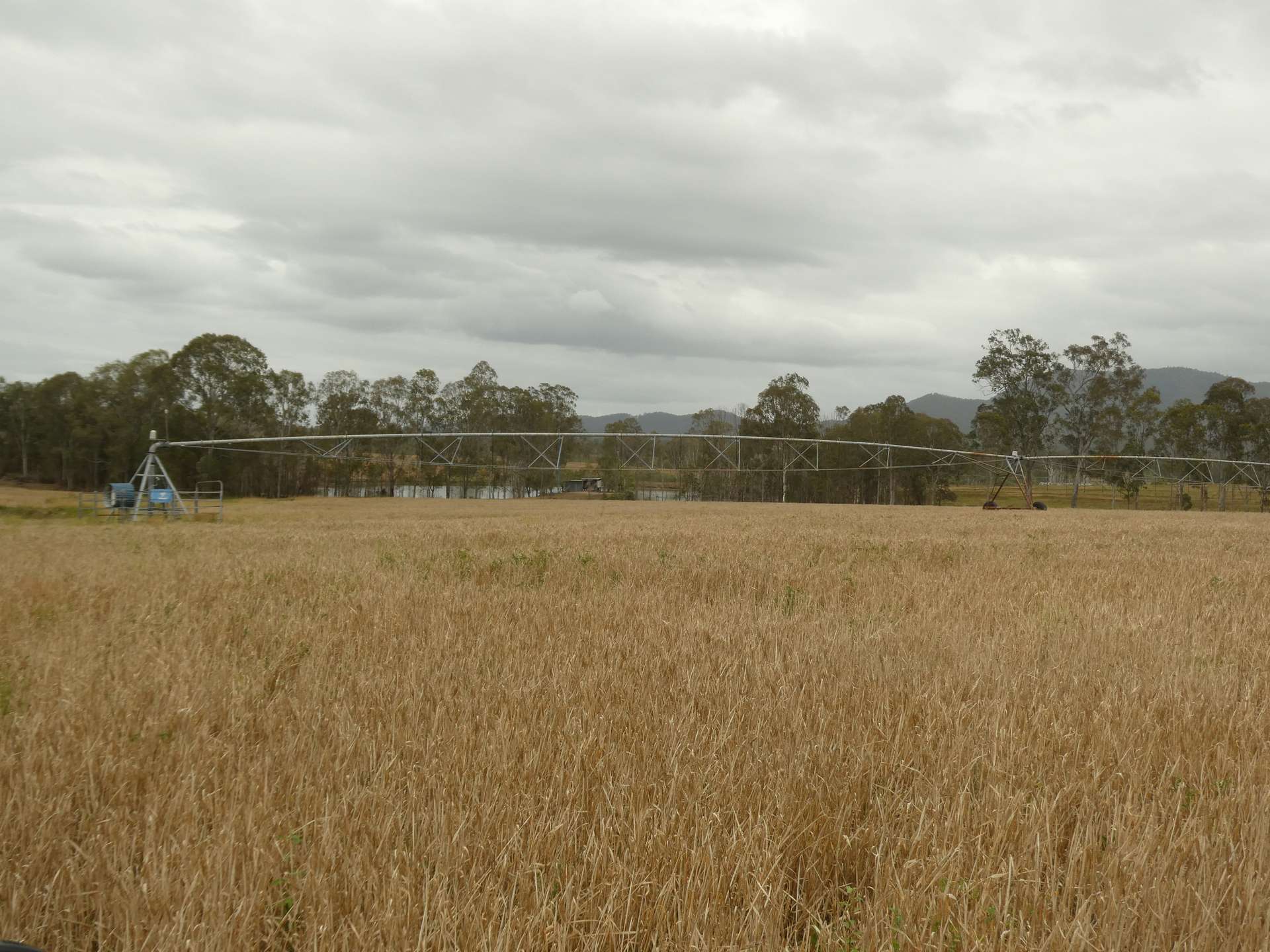 930 Berries Road, Golden Fleece For Sale by Farmbuy.com - image 21
