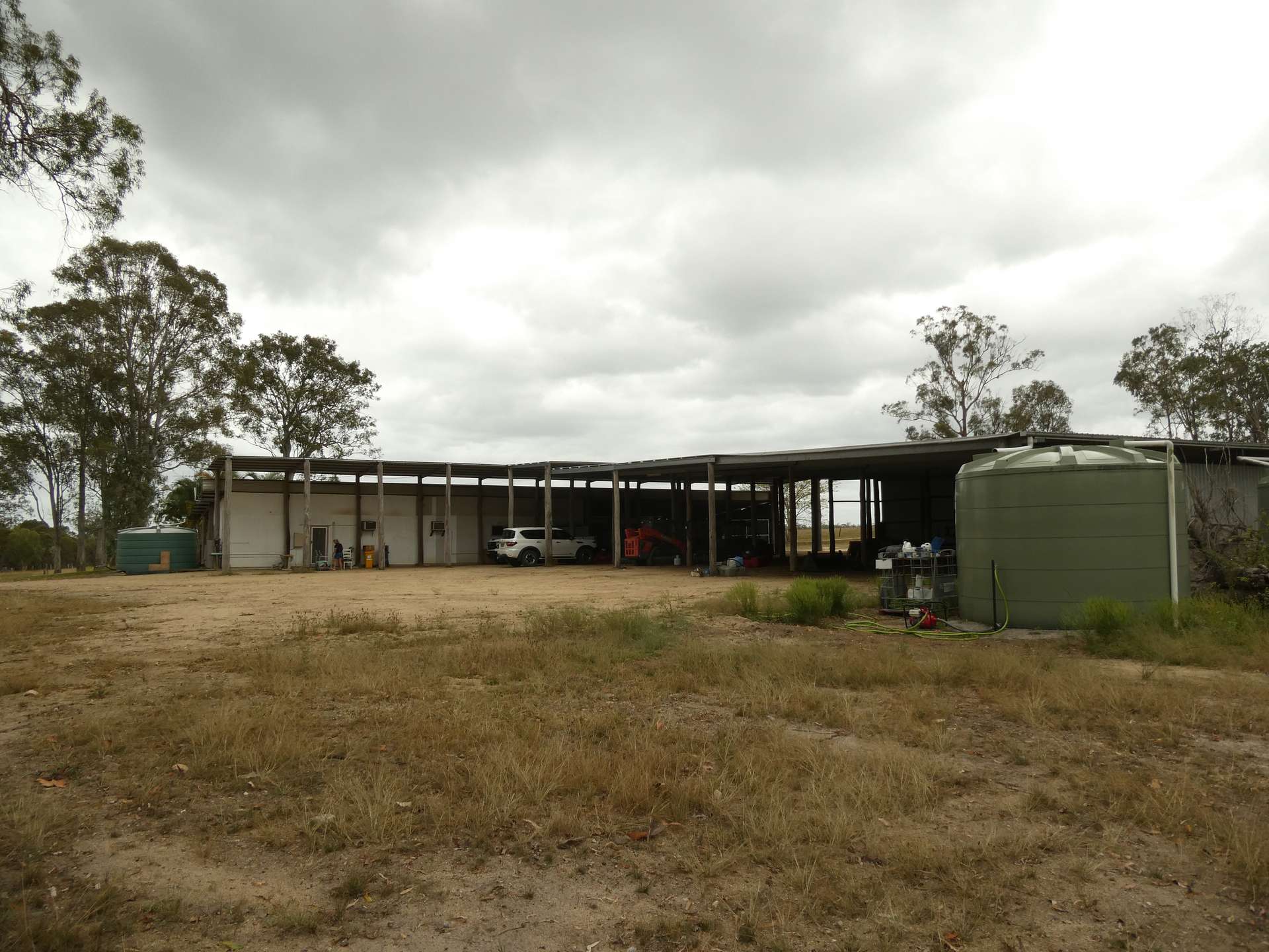 930 Berries Road, Golden Fleece For Sale by Farmbuy.com - image 12