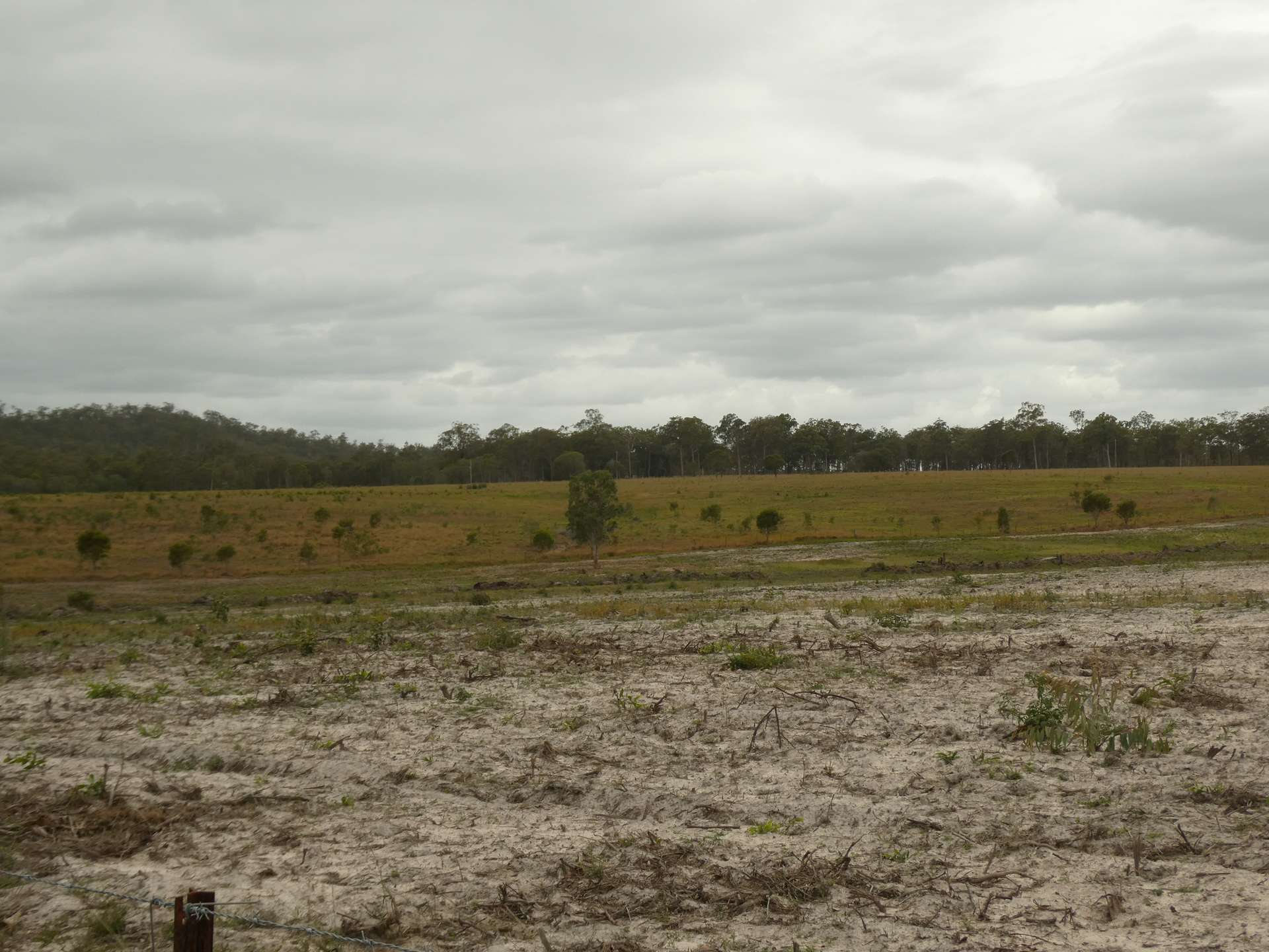 930 Berries Road, Golden Fleece For Sale by Farmbuy.com - image 34