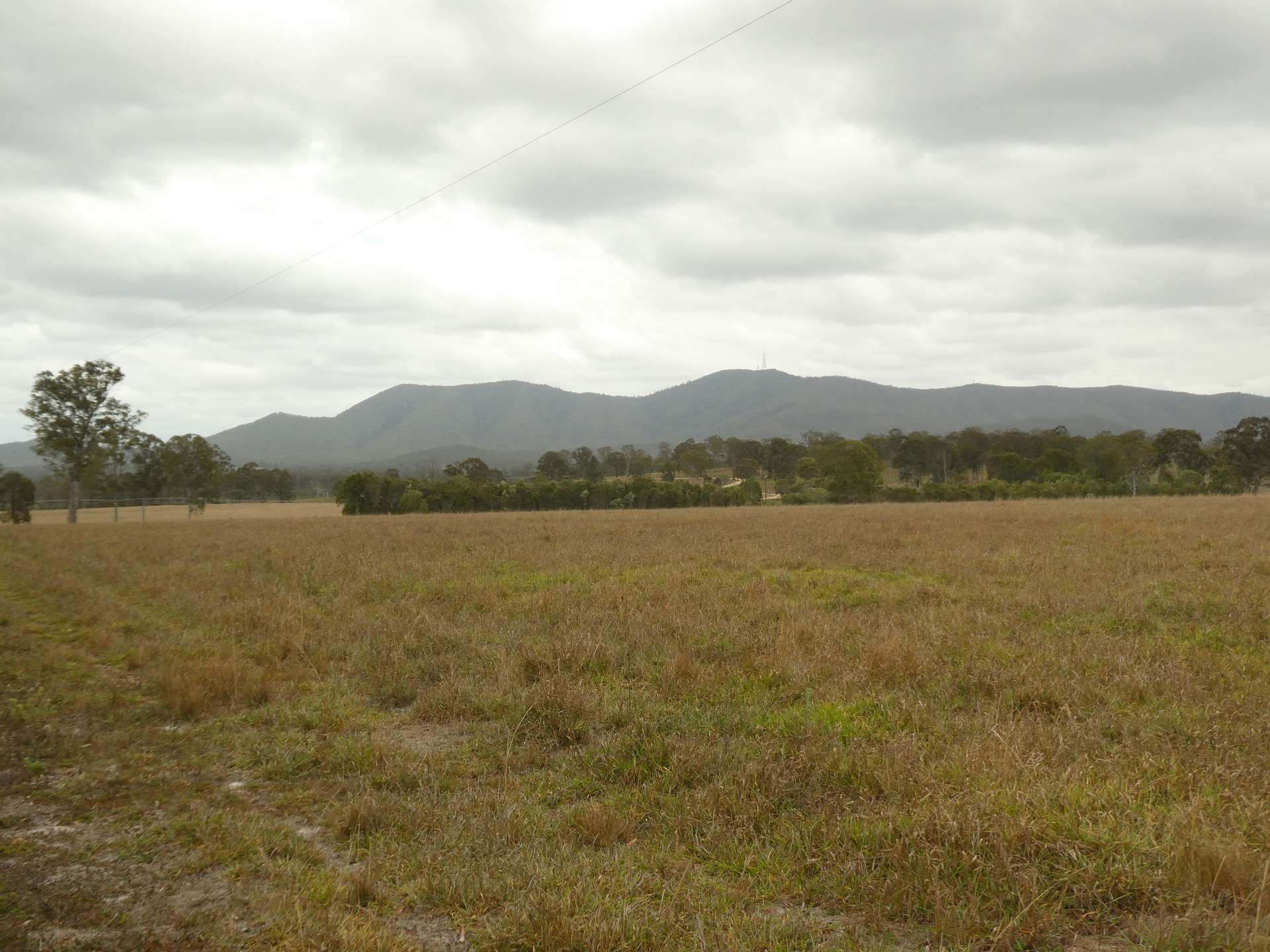 930 Berries Road, Golden Fleece For Sale by Farmbuy.com - image 30