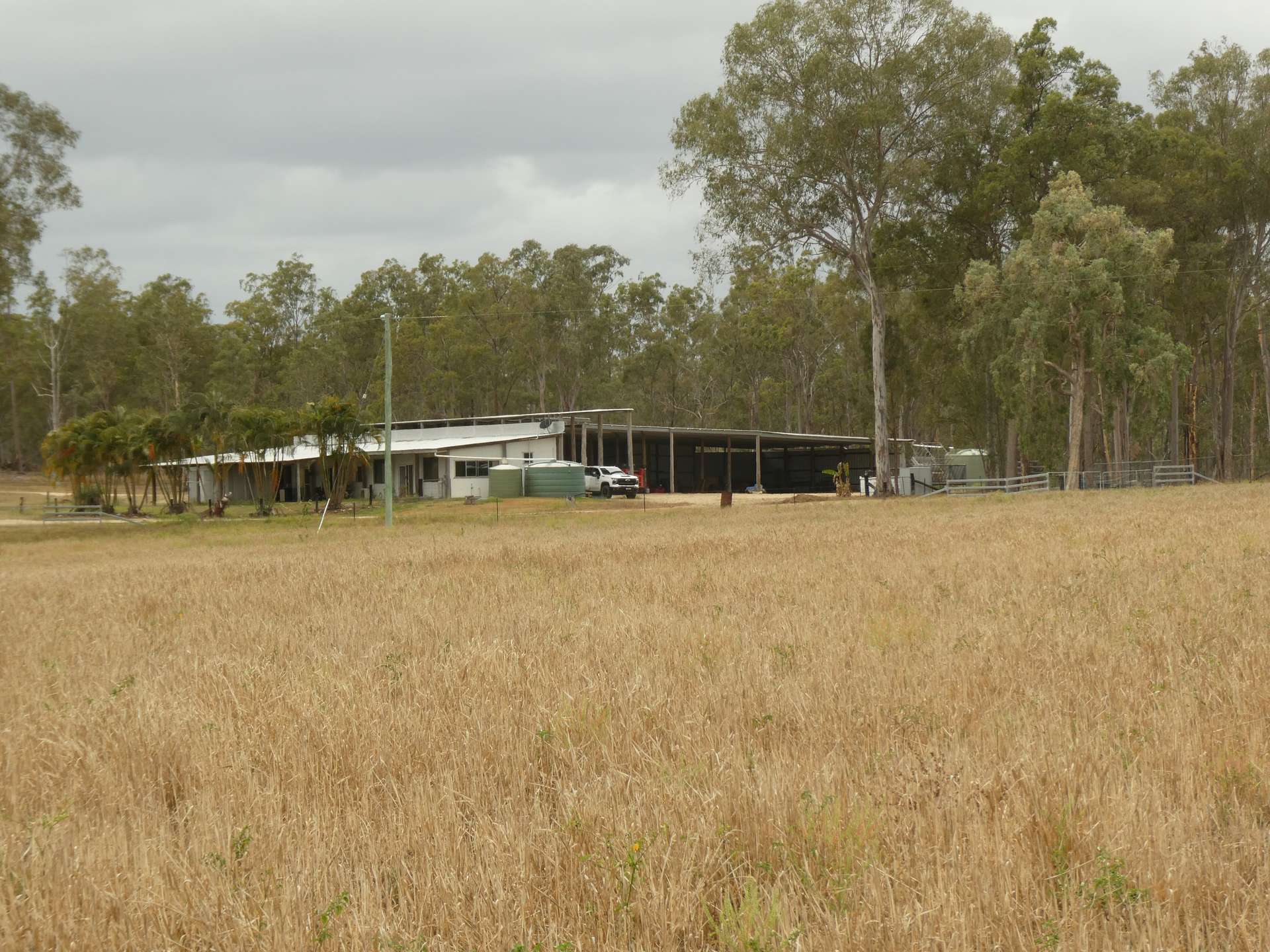 930 Berries Road, Golden Fleece For Sale by Farmbuy.com - image 15