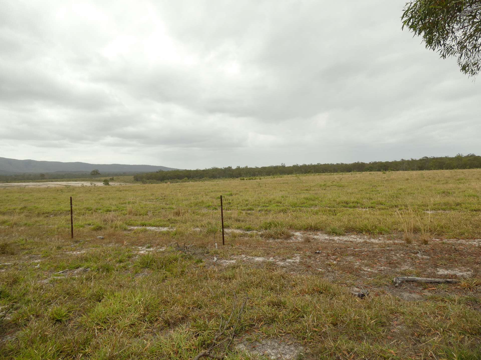 930 Berries Road, Golden Fleece For Sale by Farmbuy.com - image 31