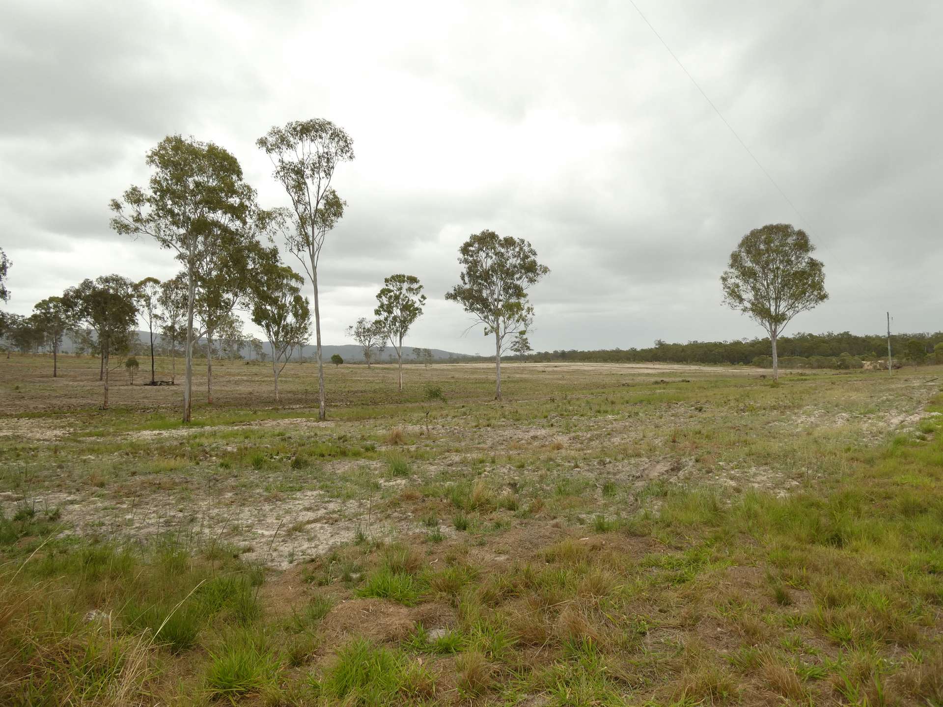 930 Berries Road, Golden Fleece For Sale by Farmbuy.com - image 32