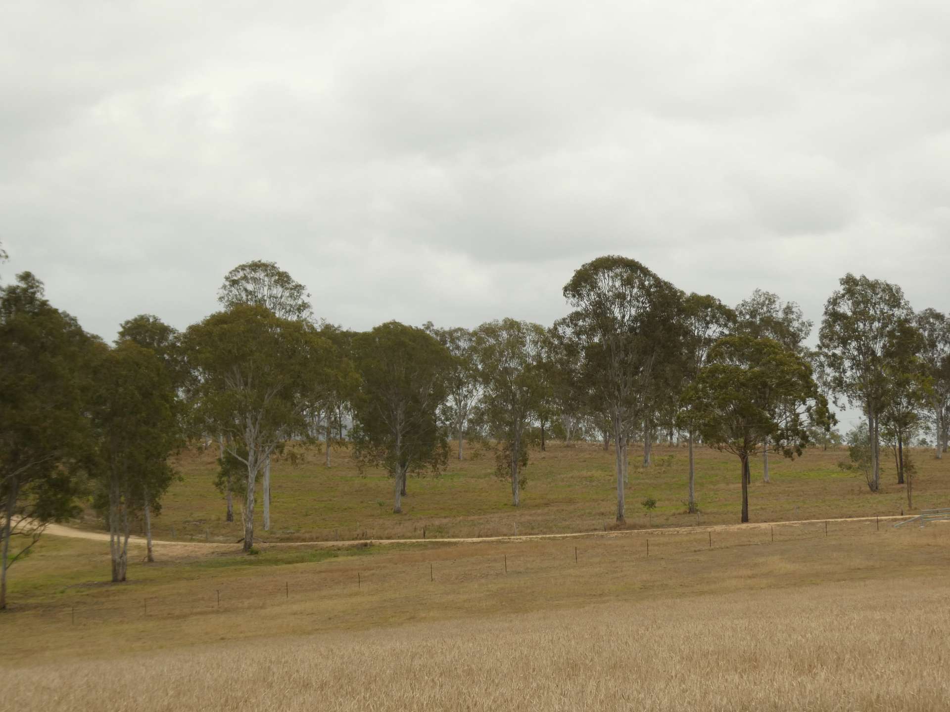 930 Berries Road, Golden Fleece For Sale by Farmbuy.com - image 23