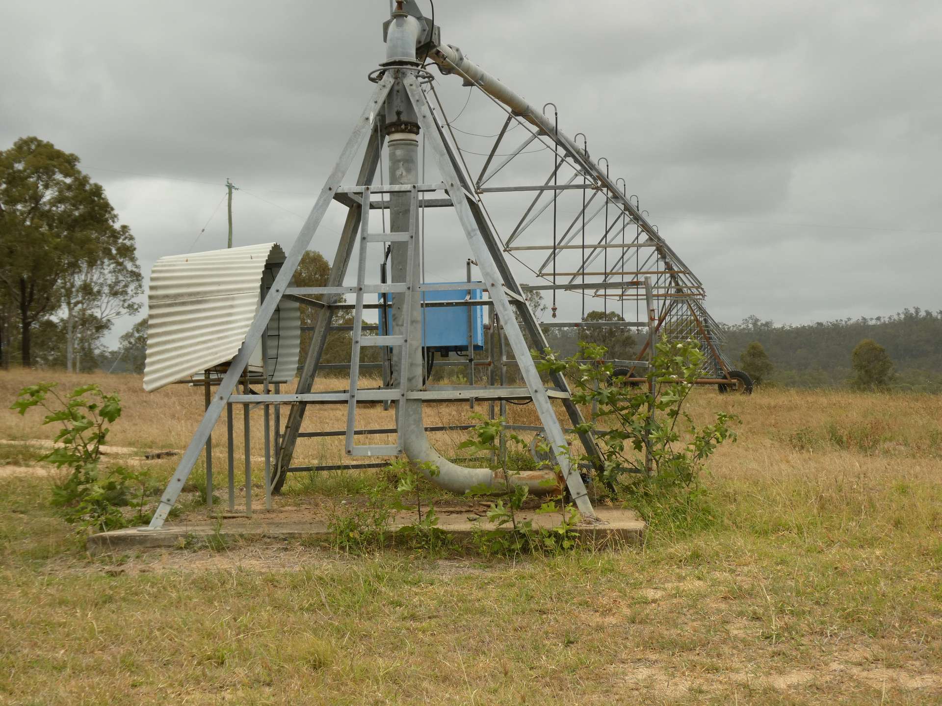 930 Berries Road, Golden Fleece For Sale by Farmbuy.com - image 16