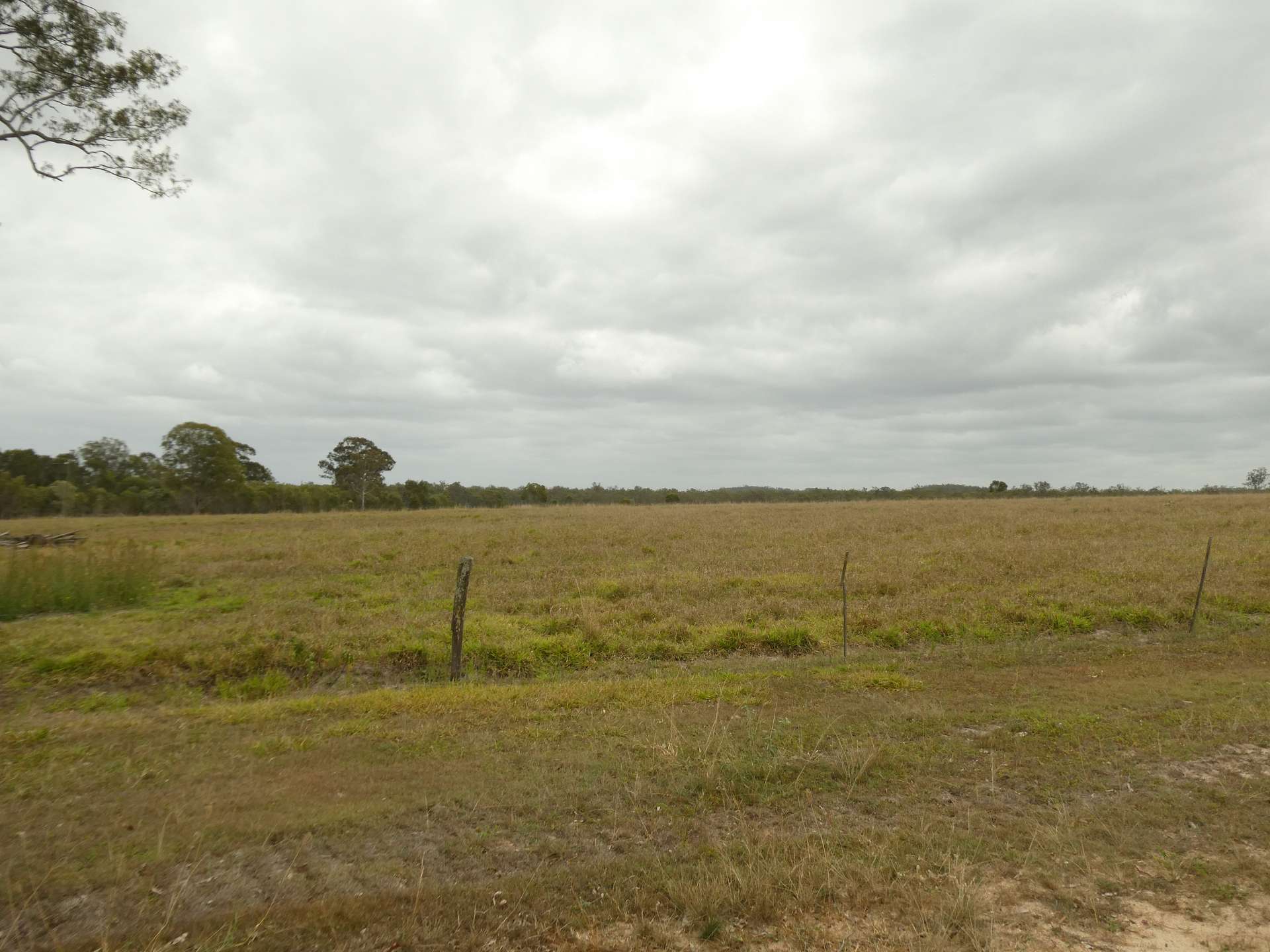 930 Berries Road, Golden Fleece For Sale by Farmbuy.com - image 20