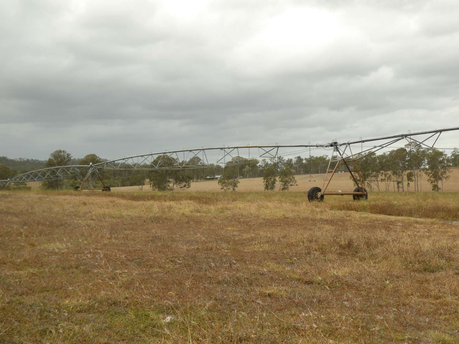 930 Berries Road, Golden Fleece For Sale by Farmbuy.com - image 24